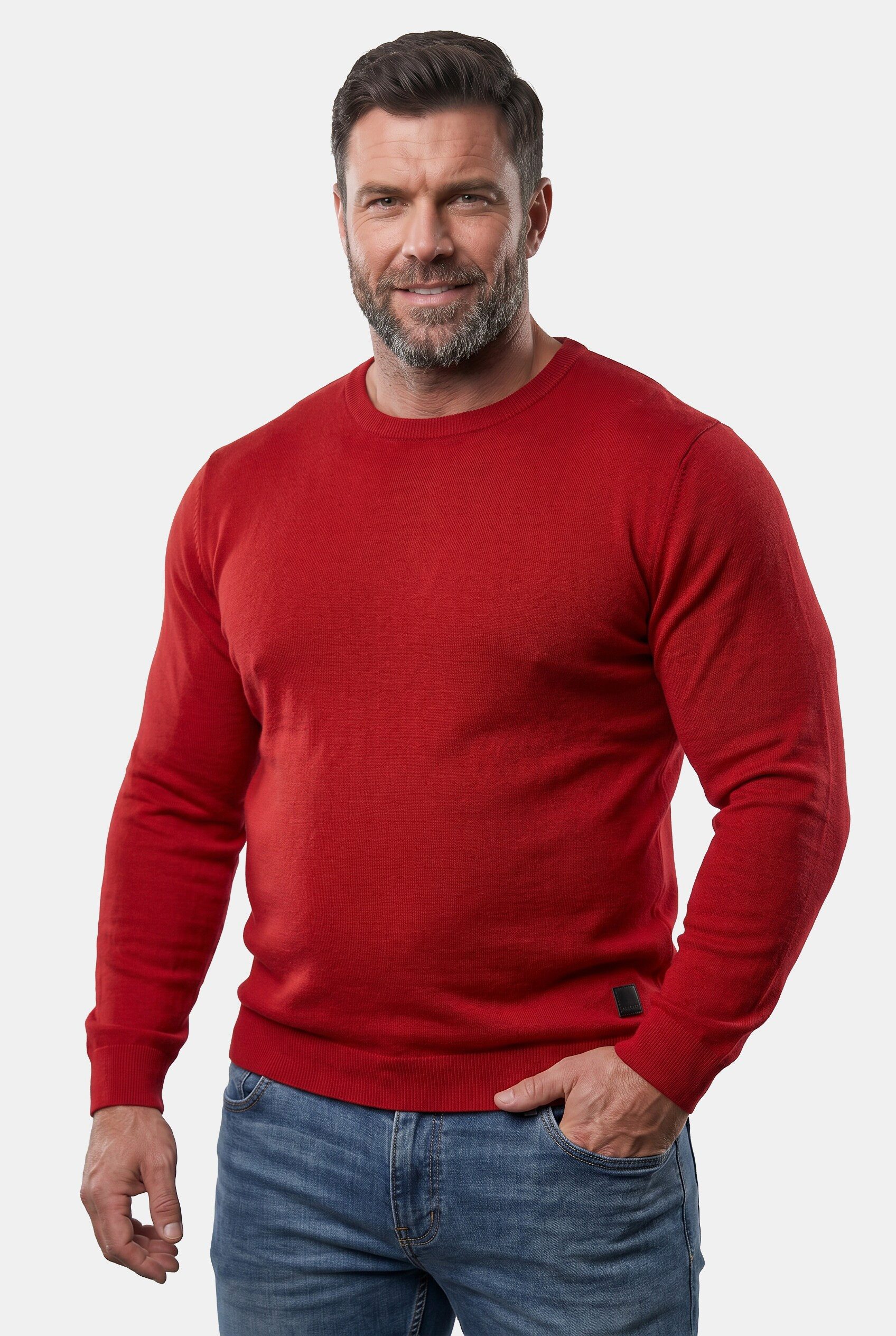 Men Plus Rundhalspullover Pullover Feinstrick Rundhals bis 8 XL