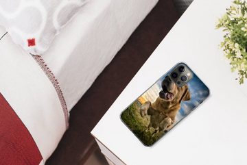 MuchoWow Handyhülle Bunter Himmel über diesem Labrador Retriever, Handyhülle Apple iPhone 12 Pro, Smartphone-Bumper, Print, Handy