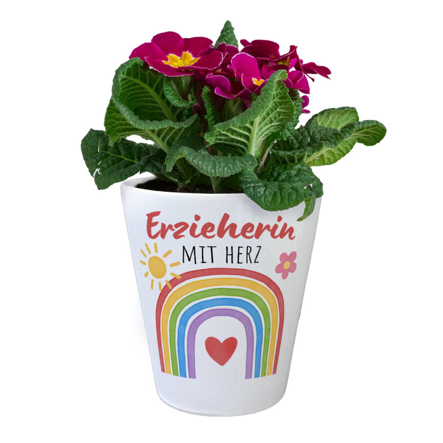speecheese Blumentopf Regenbogen Blumentopf mit Spruch günstig online kaufen