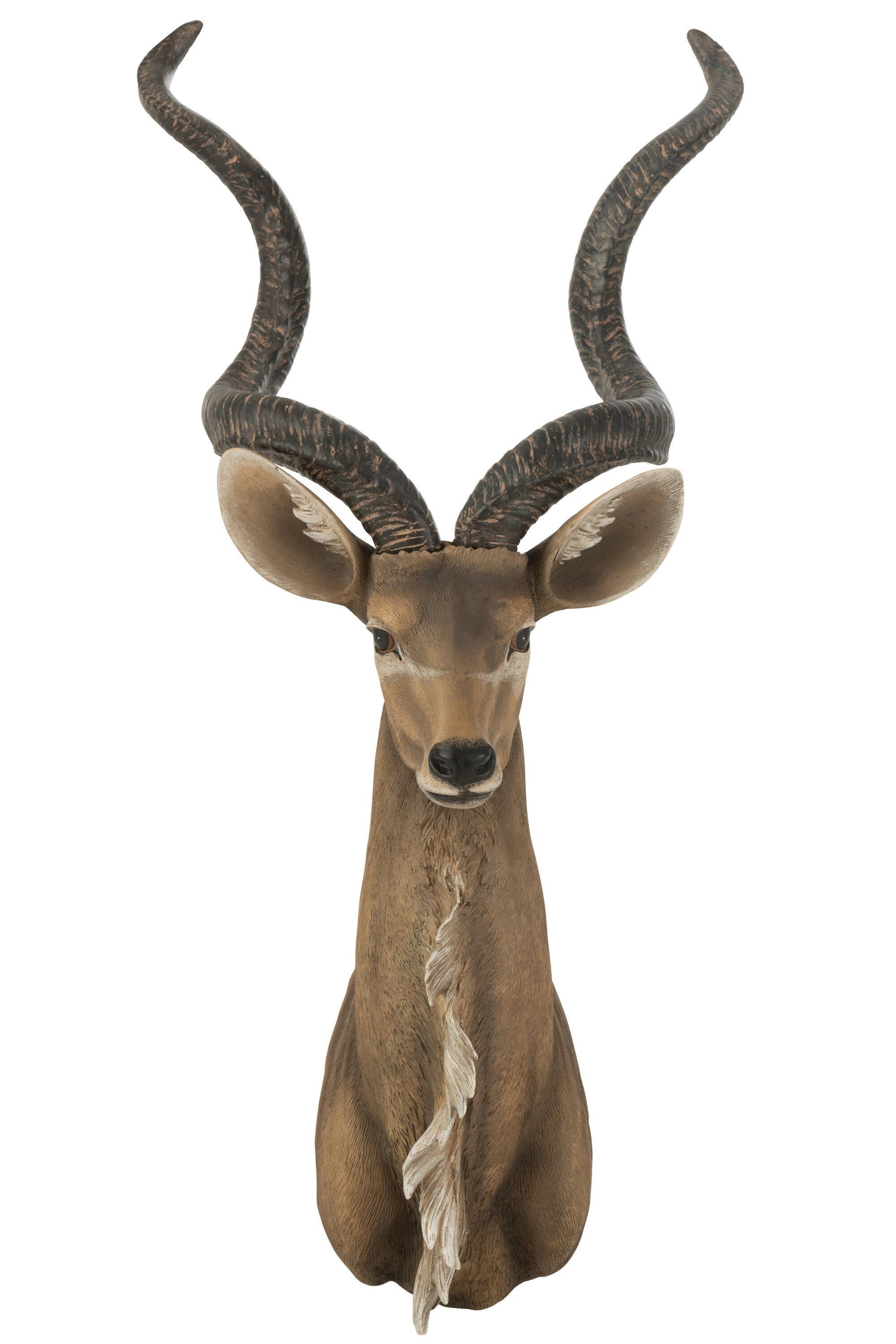 J-line Dekoobjekt Savanna Majoro Wanddekoration Antilopenkopf Braun Poly 85 cm