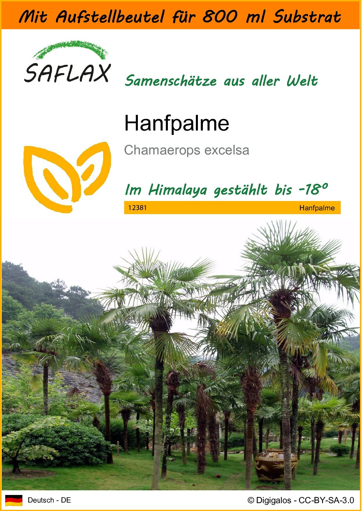 Blumensamen SAFLAX - Garden in the bag - Hanfpalme