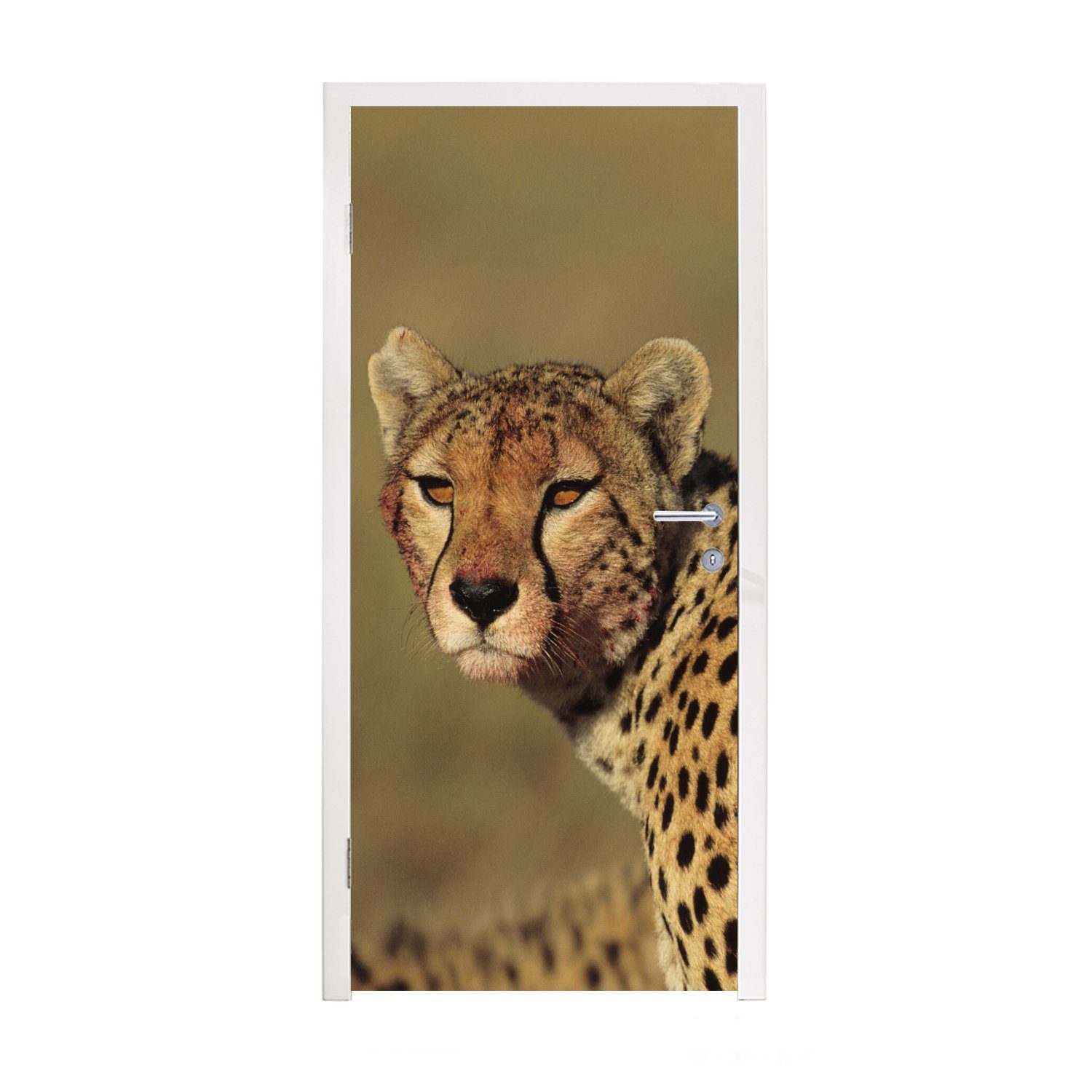 MuchoWow Türtapete Zwei Geparden in der Savanne, Matt, bedruckt, (1 St), Fototapete für Tür, Türaufkleber, 75x205 cm