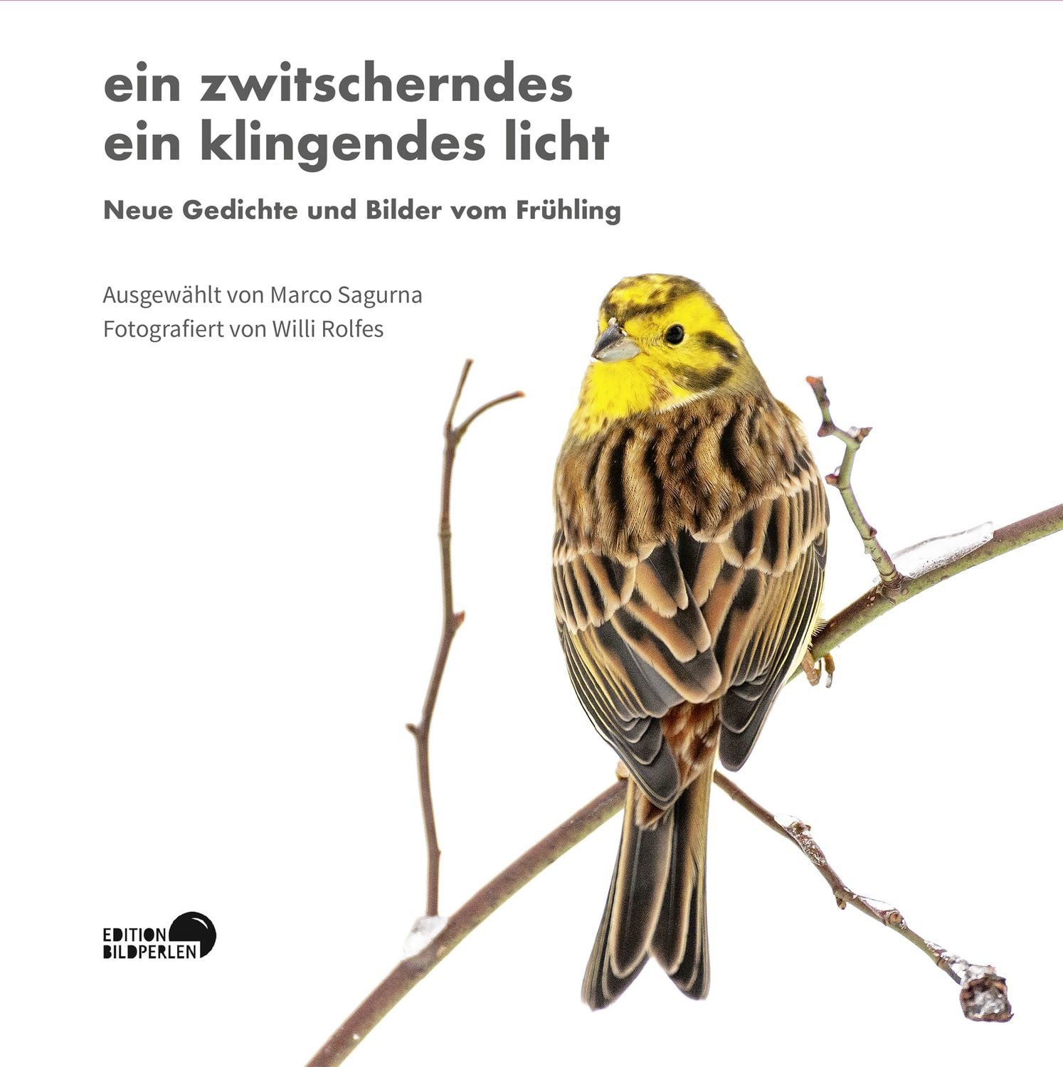 ein zwitscherndes ein klingendes licht / Caroline Hartge, Michael ­Augustin, Ulrich ­Beck, Sujata Bhatt, Orhan Veli