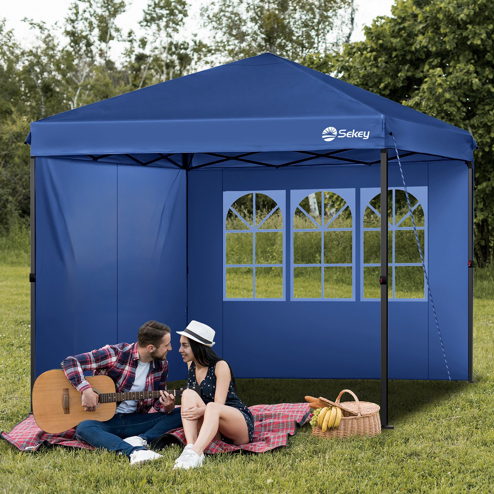 Sekey Faltpavillon 300x300 cm Pop Up günstig online kaufen
