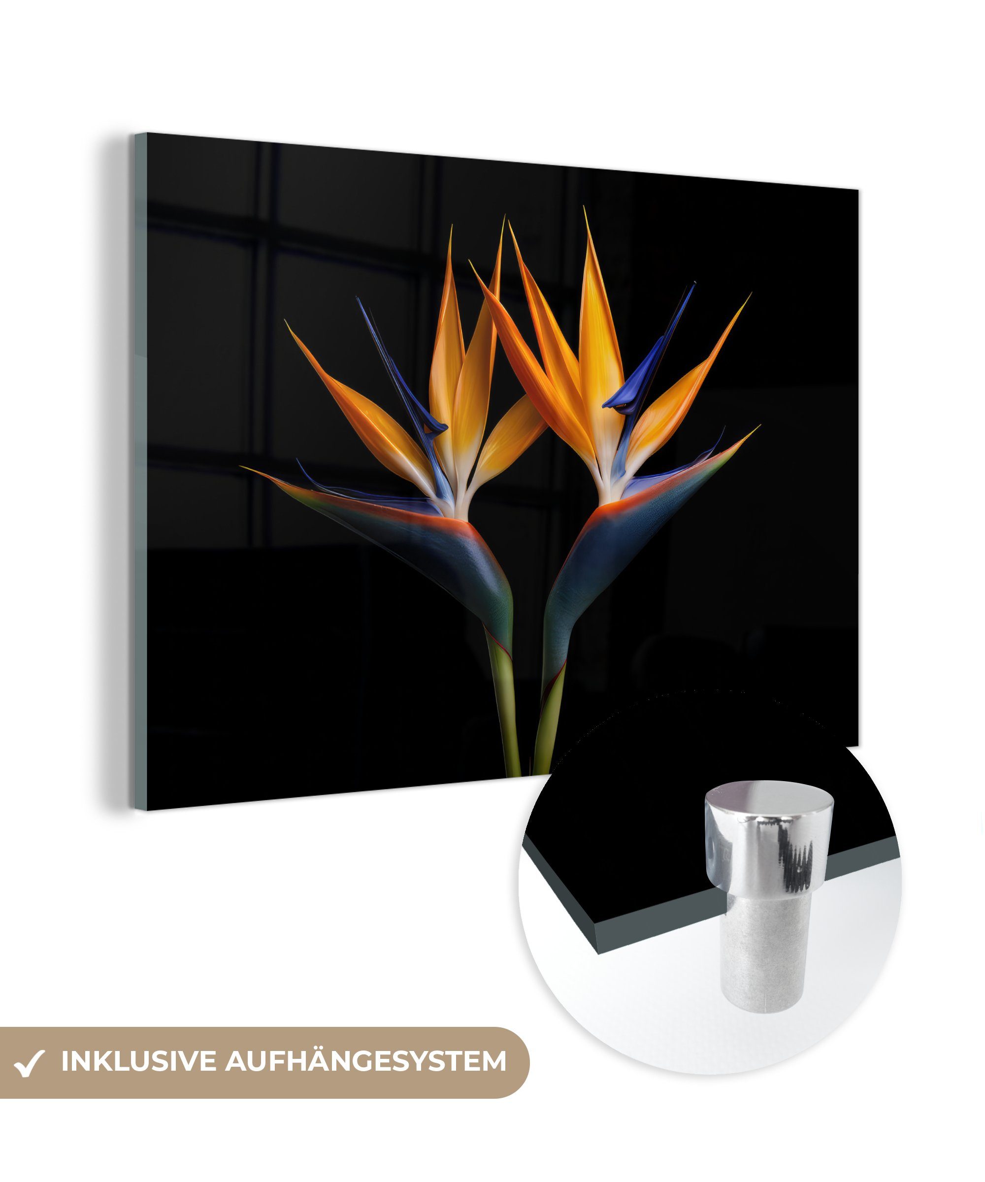MuchoWow Acrylglasbild Pflanzen - Blumen - Paradiesvogelblume - Porträt - Schwarz, (1 St), Glasbilder - Bilder auf Glas Wandbild - Foto auf Glas - Wanddekoration