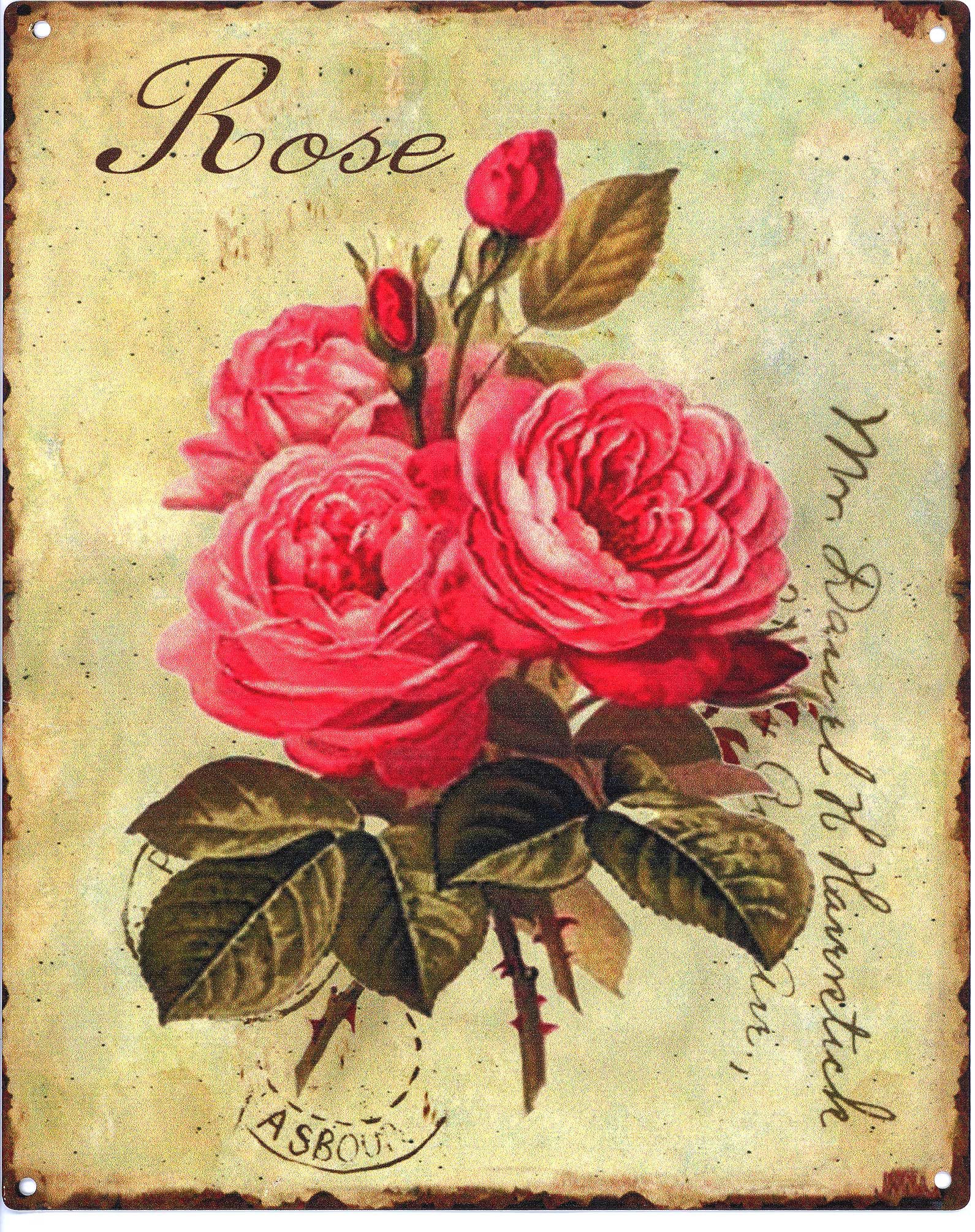 Moritz Metallschild Blechschild Rose Rosenstrauß, (Einzeln), 20 x 25cm Vintage Retro Deko Schild Metallschild Wandbild Schild