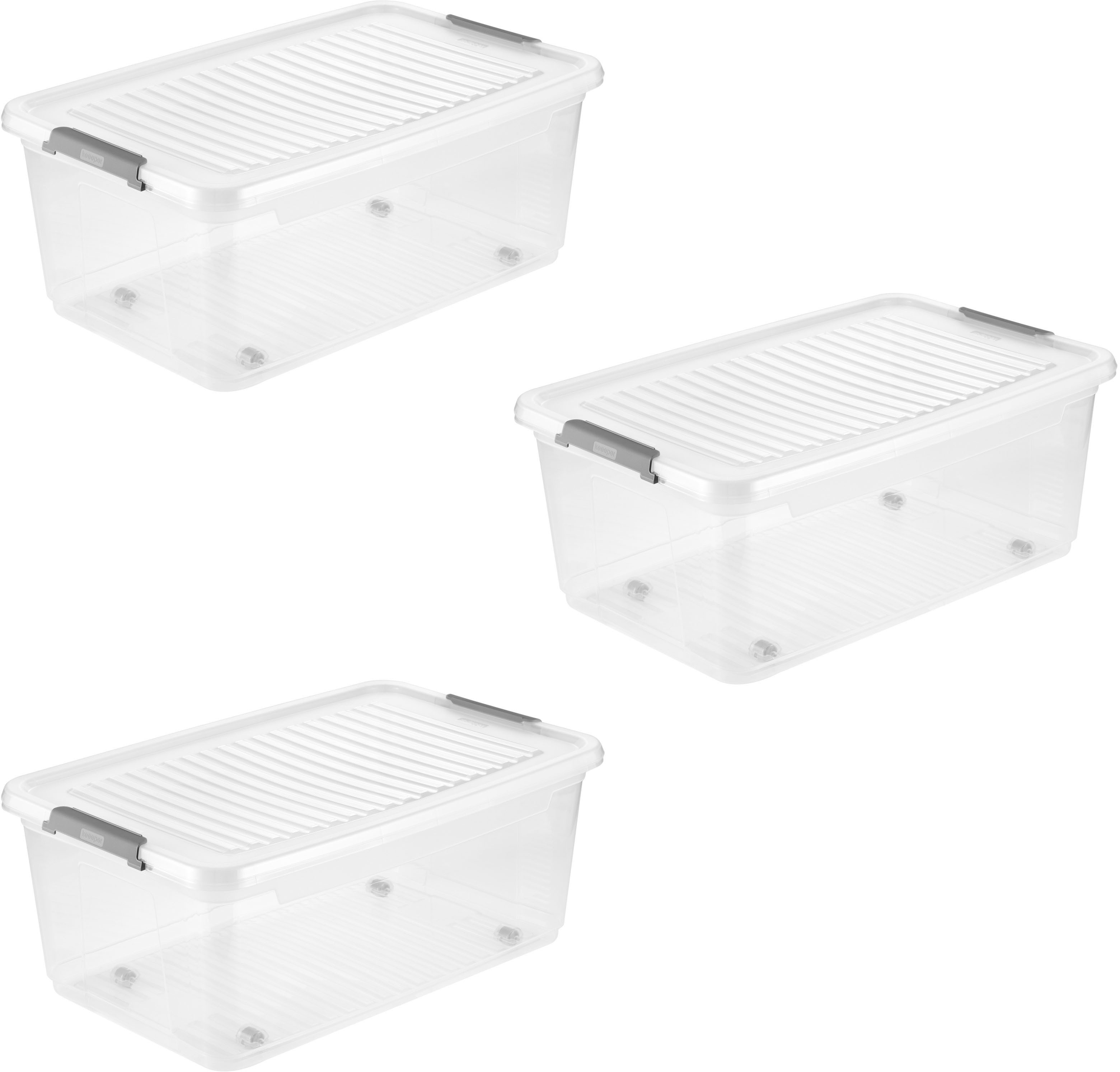 keeeper Aufbewahrungsbox Clipbox Leo (Set 3 günstig online kaufen