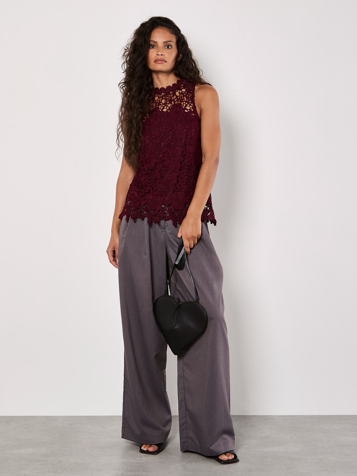 Apricot Spitzentop elegantes Top, in Unifarben günstig online kaufen