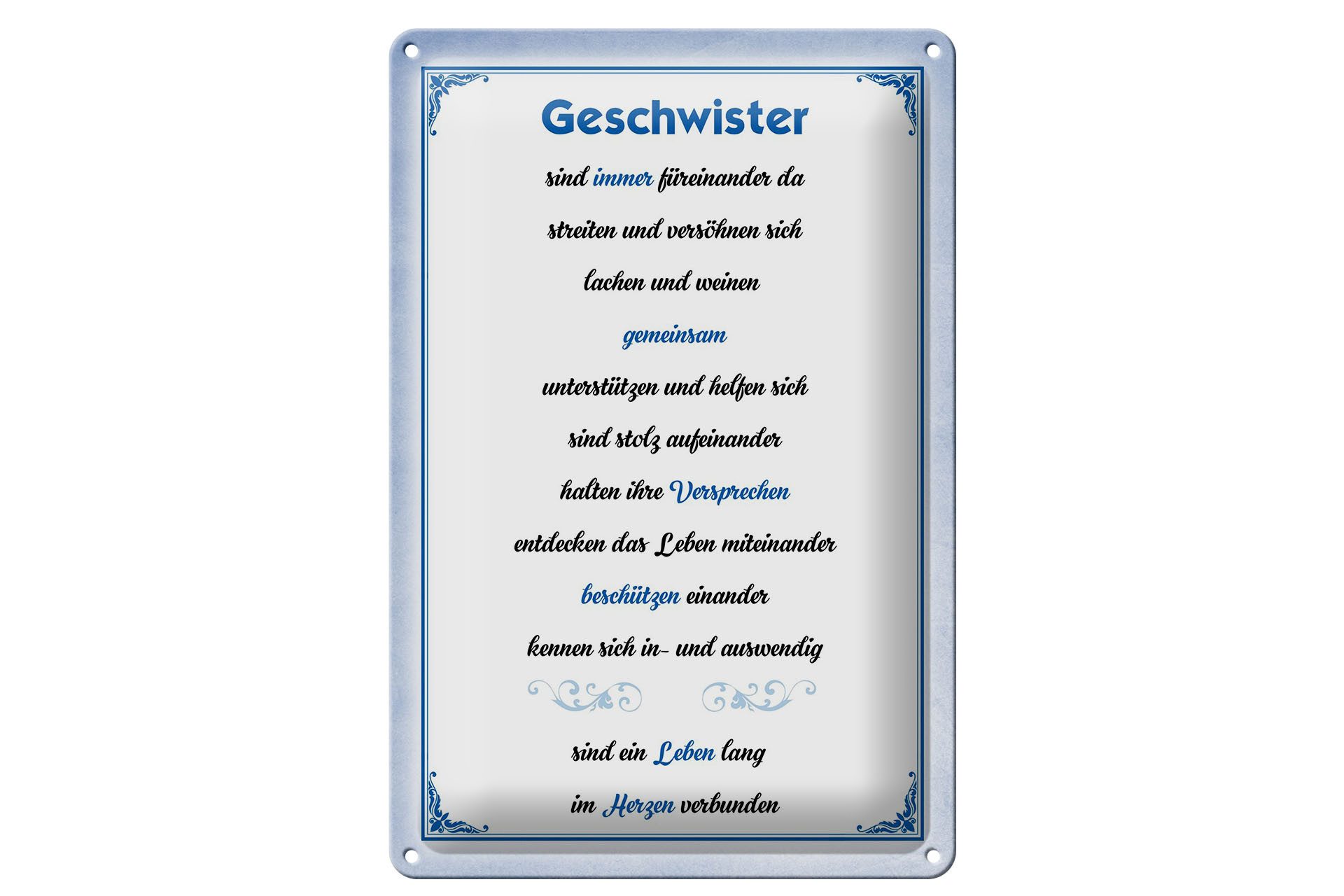 Metallschild Spruch 20x30cm Geschwister immer füreinander da