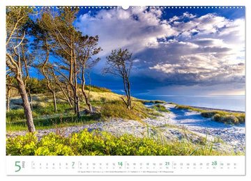 CALVENDO Wandkalender Darßer Weststrand Kalender (Premium, hochwertiger DIN A2 Wandkalender 2023, Kunstdruck in Hochglanz)