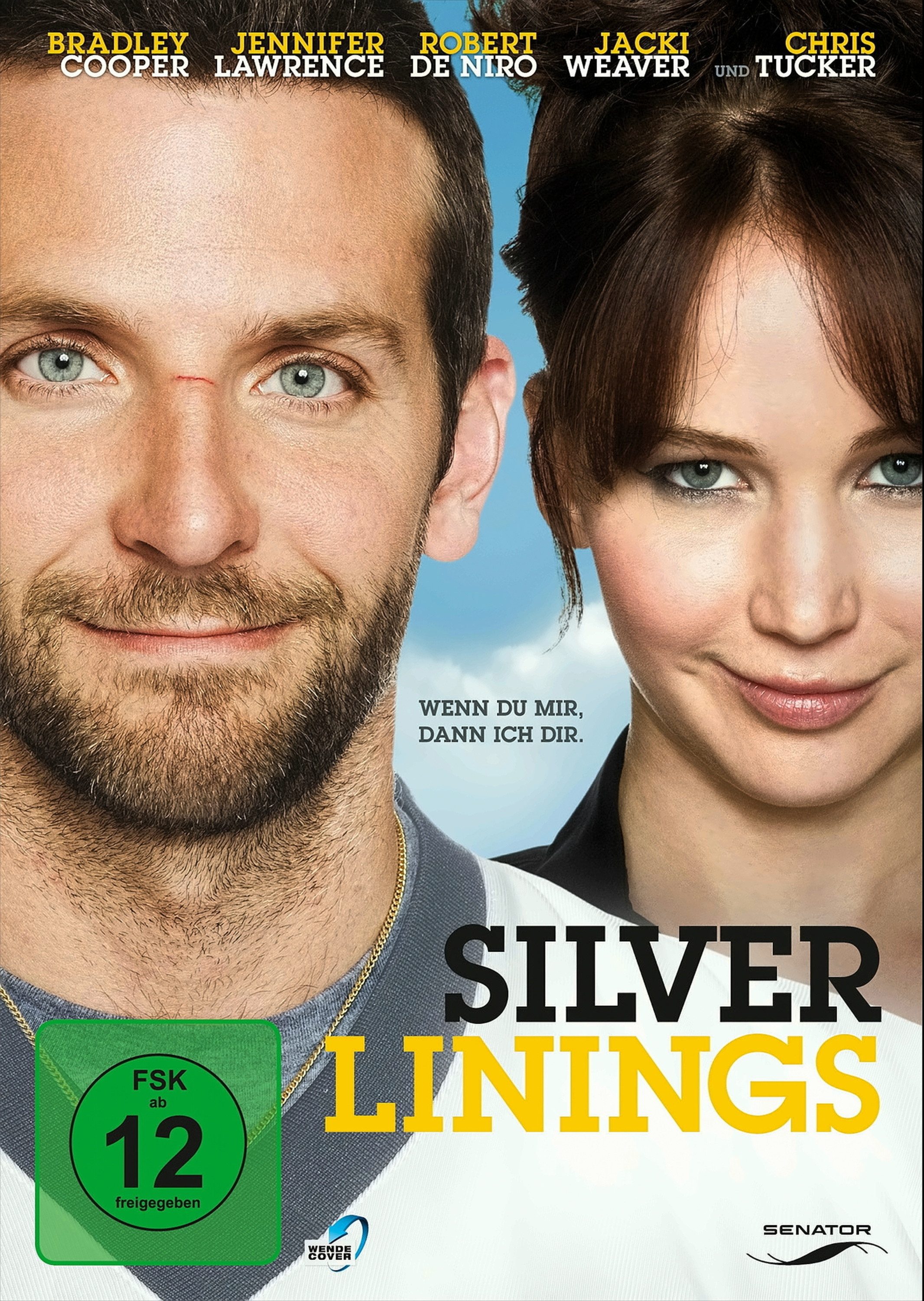 DVD Silver Linings