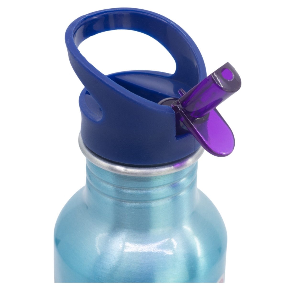 Lilo & Stitch Trinkflasche Wasserflasche 545 ml Flasche mit Trinkaufsatz und Schraubverschluss