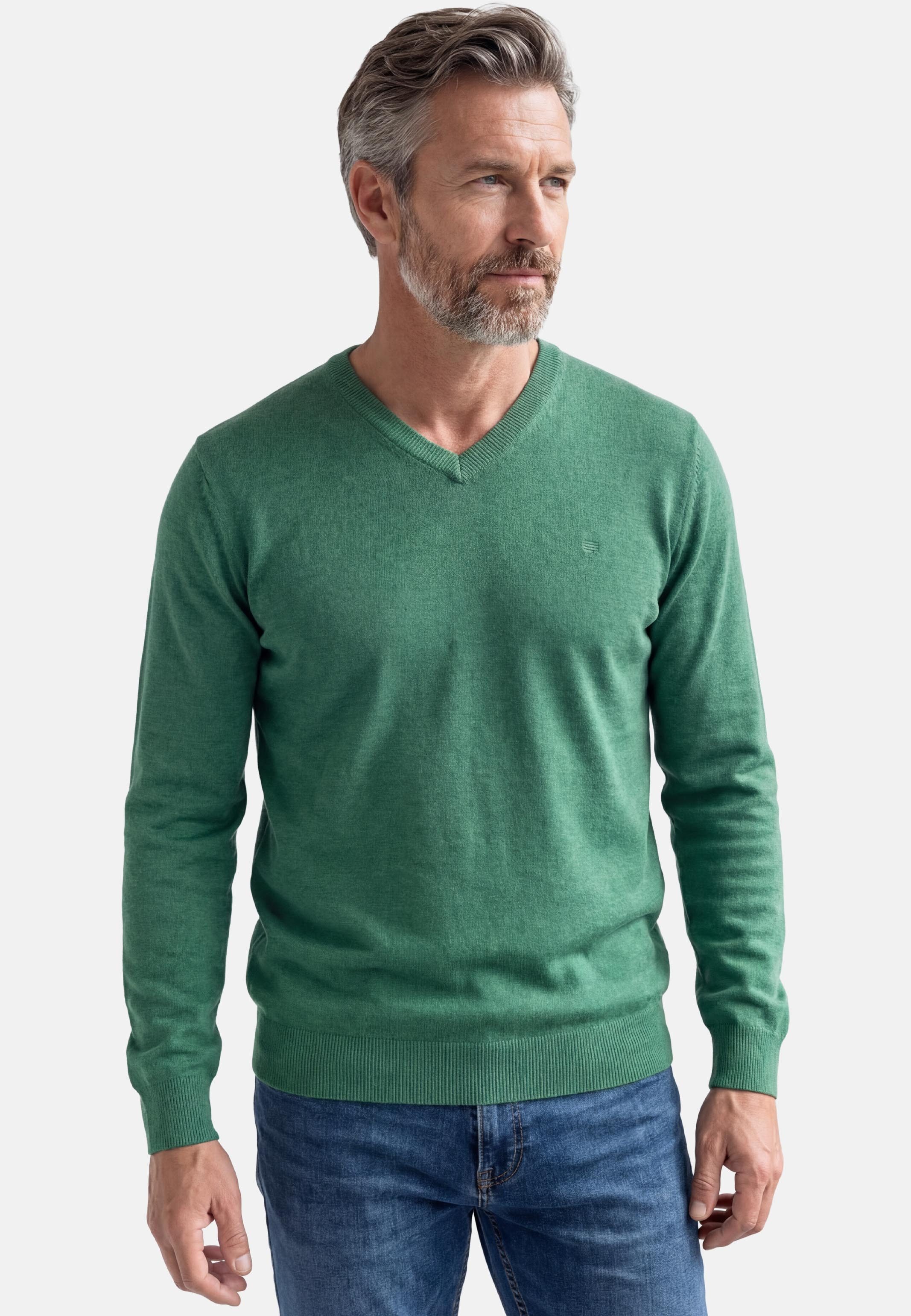 V-Ausschnitt-Pullover Basic