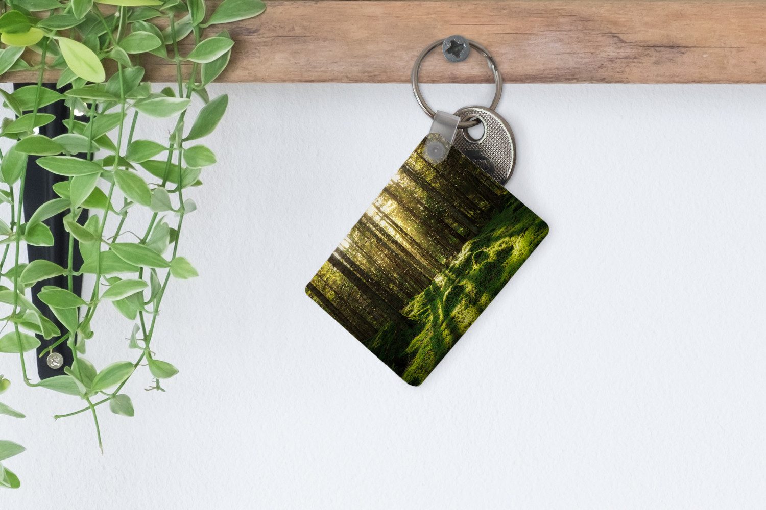 MuchoWow Schlüsselanhänger Bäume - Wald - Moos - Pflanzen - Sonne - Natur, Rechteckig mit Schlüsselring, Geschenk, Accessoire, 6x4 cm