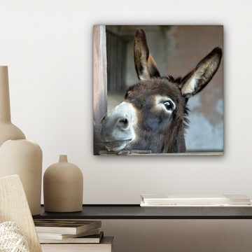 OneMillionCanvasses® Leinwandbild Esel, (1 St), Leinwand Bilder für Wohnzimmer Schlafzimmer, 20x20 cm
