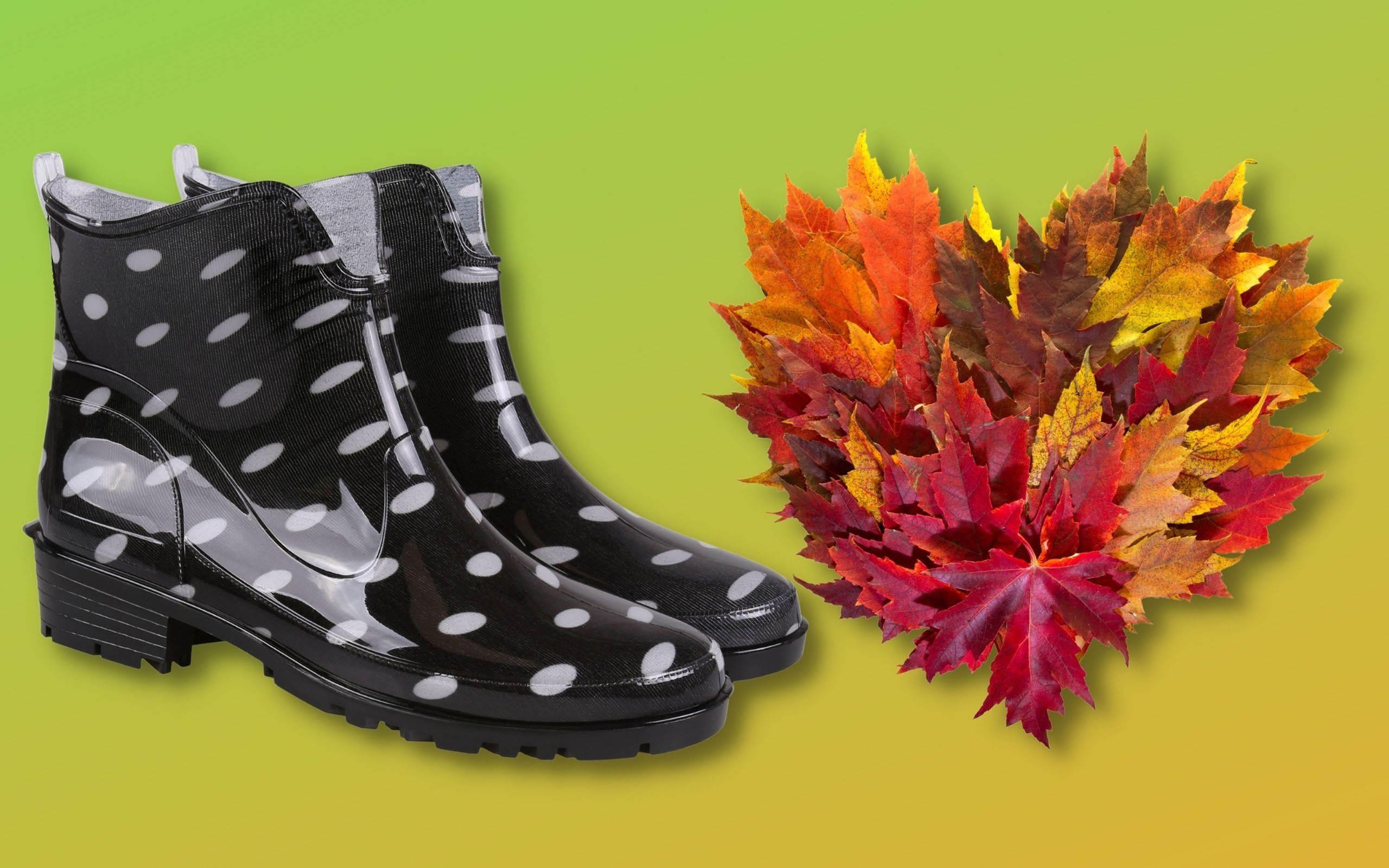 Sarcia.eu Schwarze, kurze Gummistiefel Regenstiefel mit weißen Tupfen LEMIG günstig online kaufen