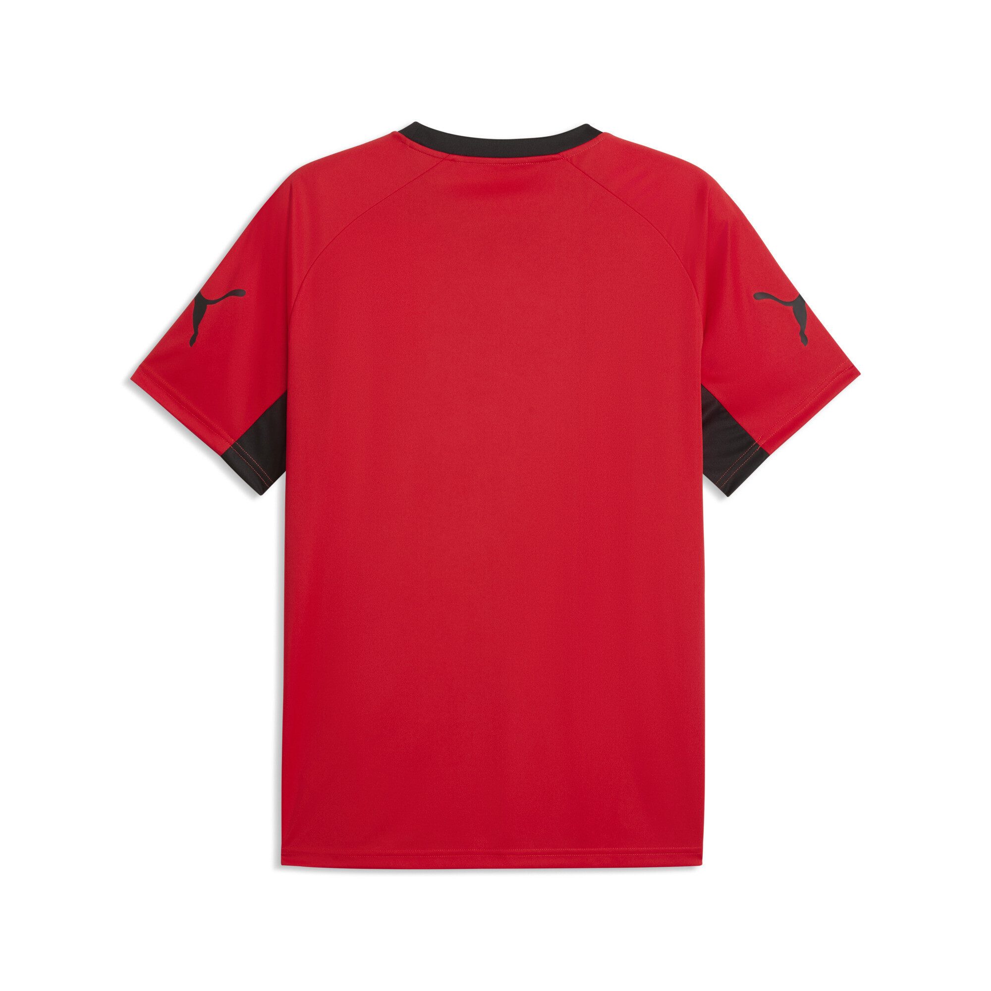 PUMA Trainingsshirt individualLIGA Graphic Fußballtrikot Herren