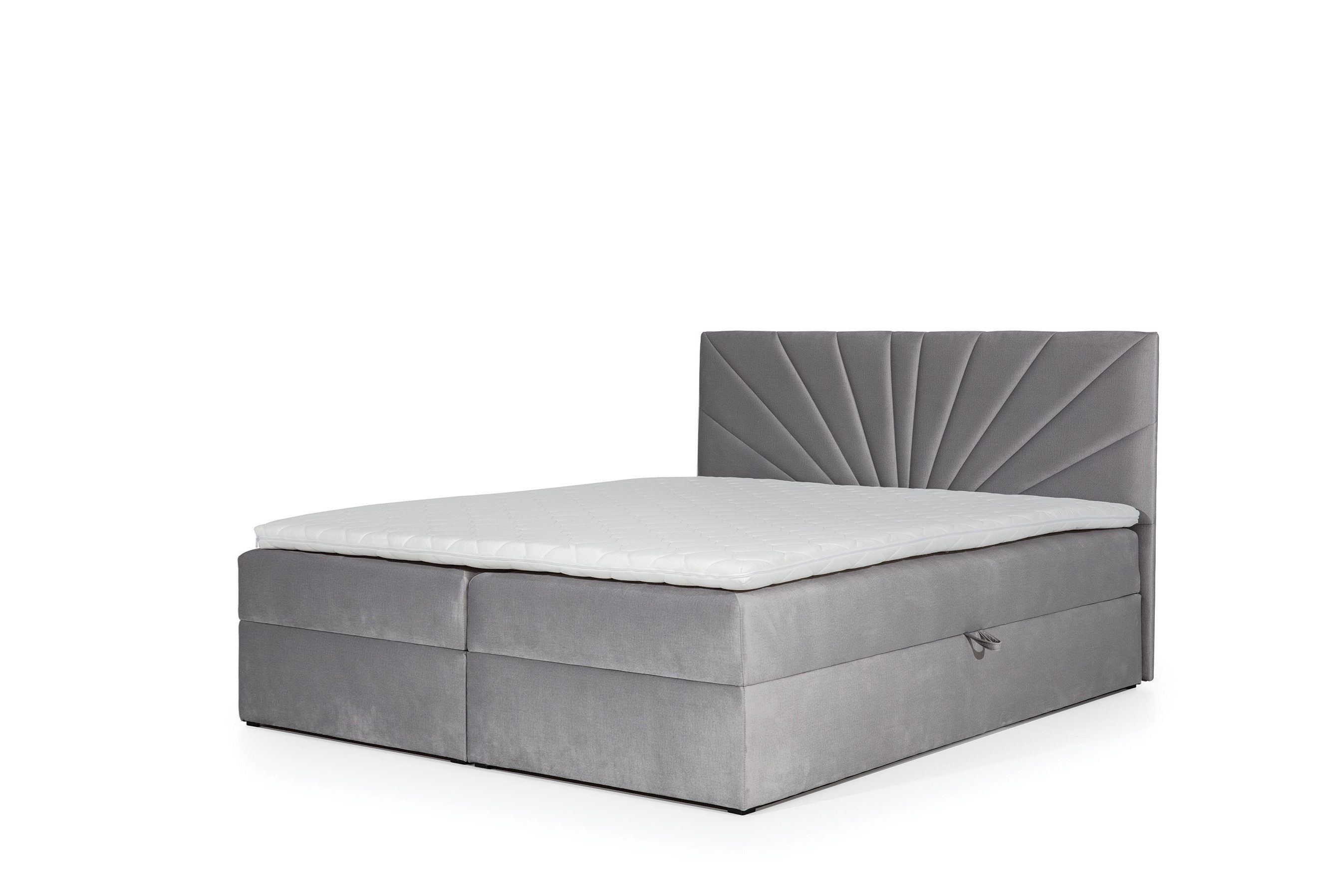 Fun Möbel Boxbett Schlafzimmerbett CARERRA in Stoff Grau (1-St., inkl. Kaltschaumtopper), inkl Bettkasten