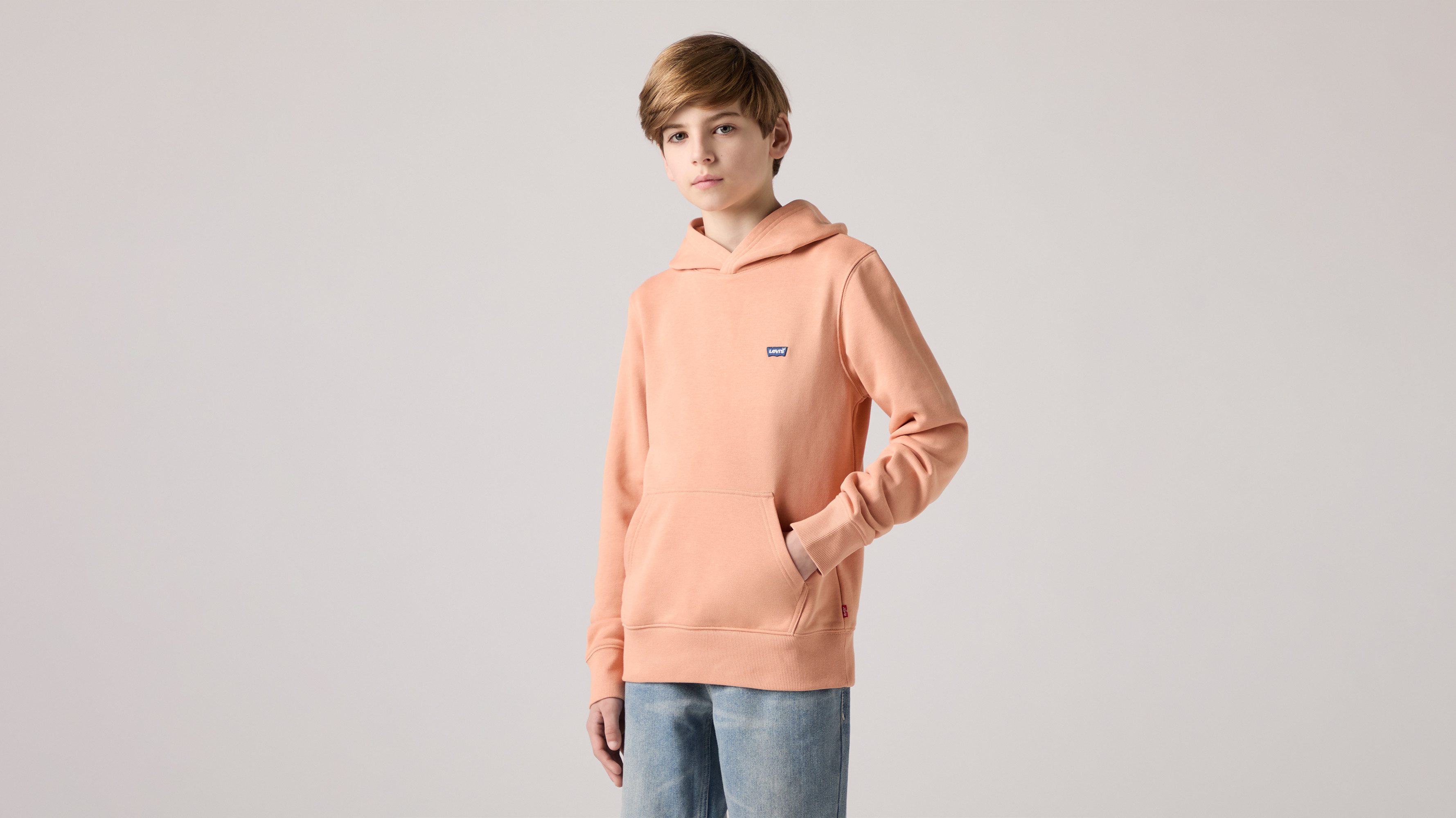 Levi's® Kids Hoodie LVB MINI BATWING PULL OVER HOO for BOYS
