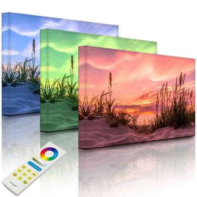 lightbox-multicolor LED-Bild »Gras am Strand bei Sonnenuntergang«