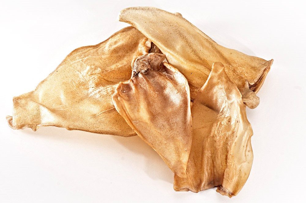 123... Hund dabei! 123... Hund dabei! - Büffelohren, 10St.