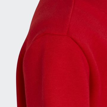 adidas Originals Trainingsanzug ADICOLOR SET (2-tlg)