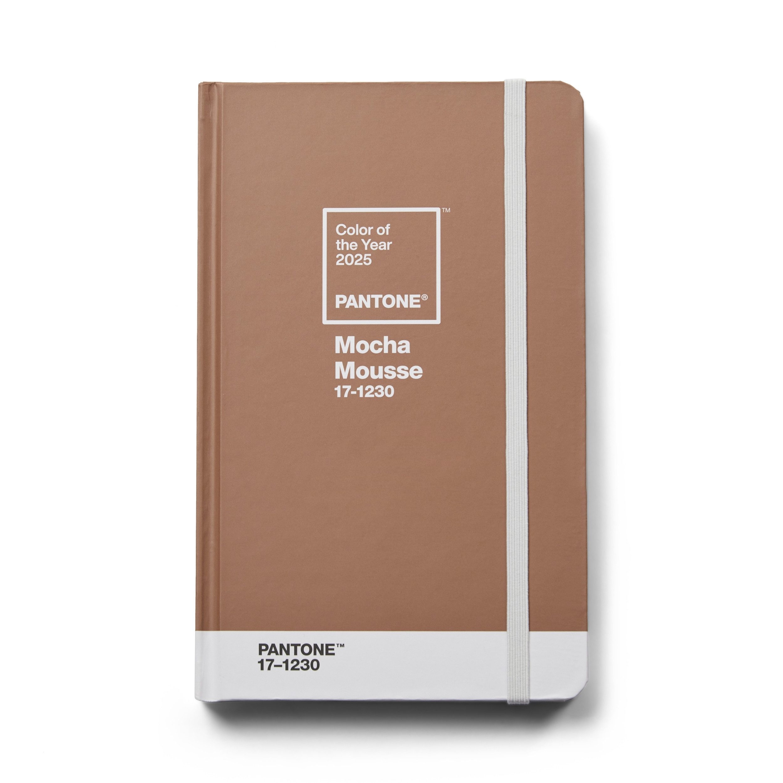 PANTONE Notizbuch liniert, 192 Seiten, CoY 2025 - Mocha Mousse 17-1230, Farbe des Jahres 2025