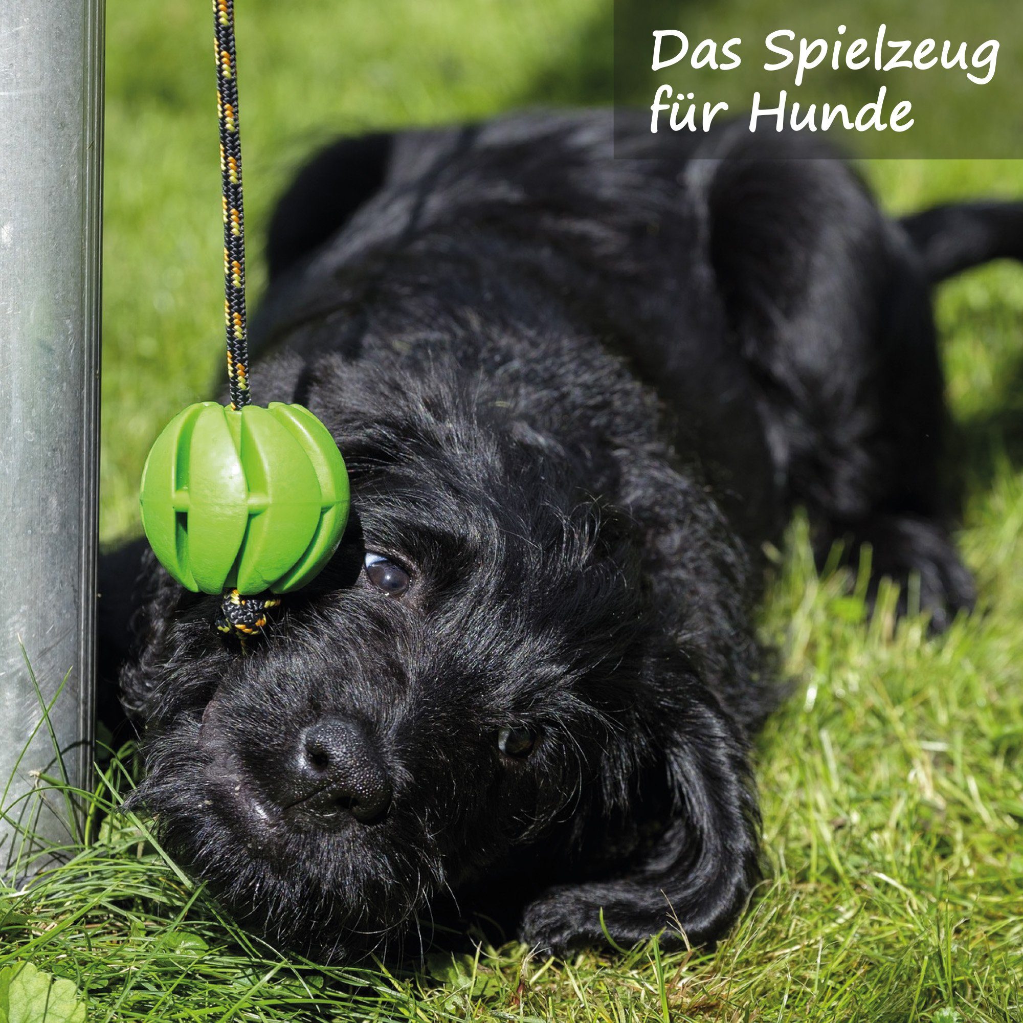 Bestlivings Tierball Spiralball, 100% Hunde TPR, Ø7cm - (1-tlg) Hundespielzeug Spielball Grün Wurfspielzeug