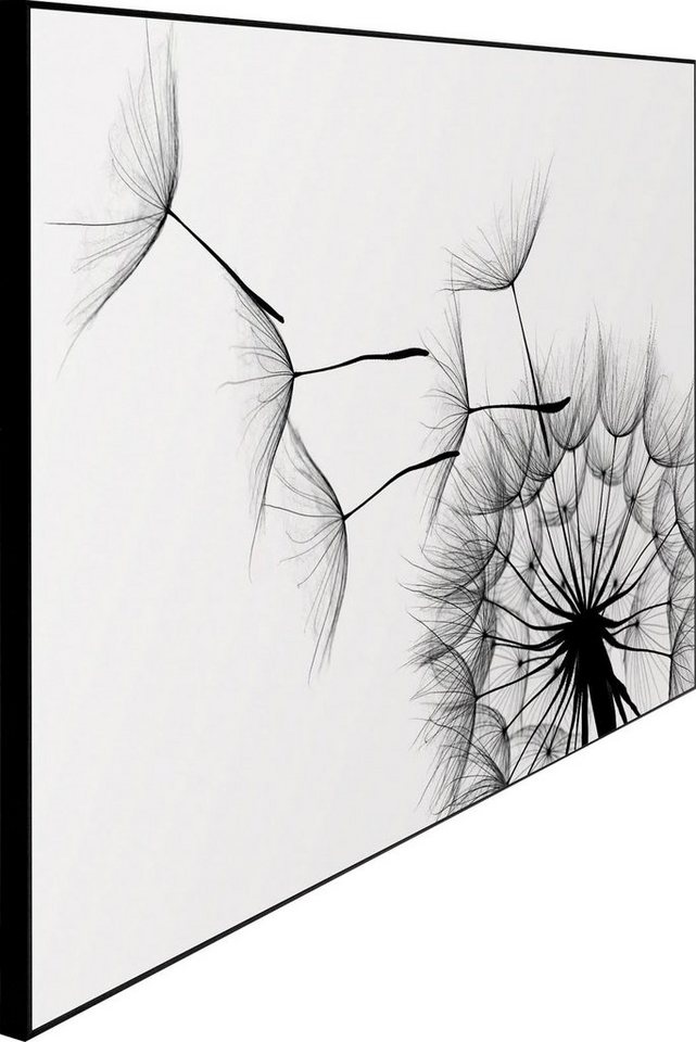 Reinders! Wandbild »Slim Frame Black 50x70 Dandelion«-kaufen