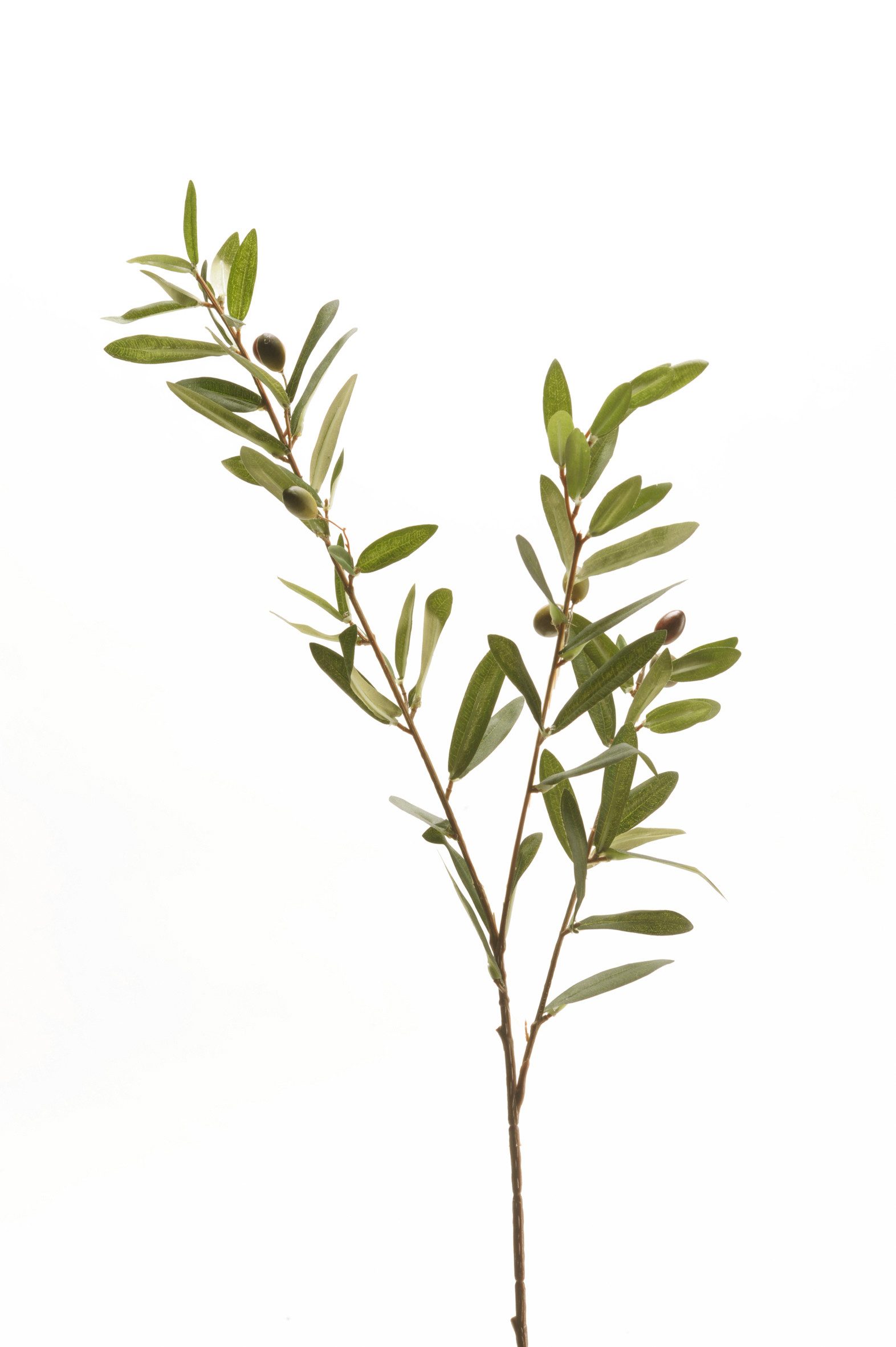 Kunstblume, Emerald, Höhe 80 cm günstig online kaufen