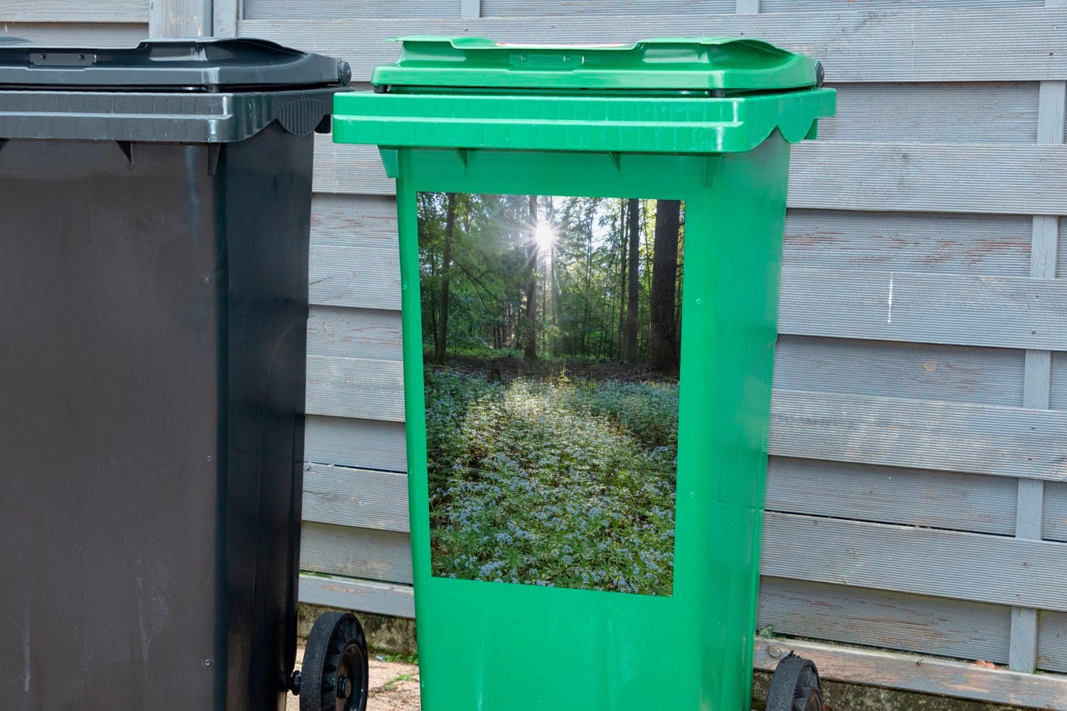 MuchoWow Wandsticker Mülleimer-aufkleber, scheint voller Abfalbehälter auf die Waldmeister Container, einen Sticker, St), durch Die Sonne Boden (1 Mülltonne, Bäume