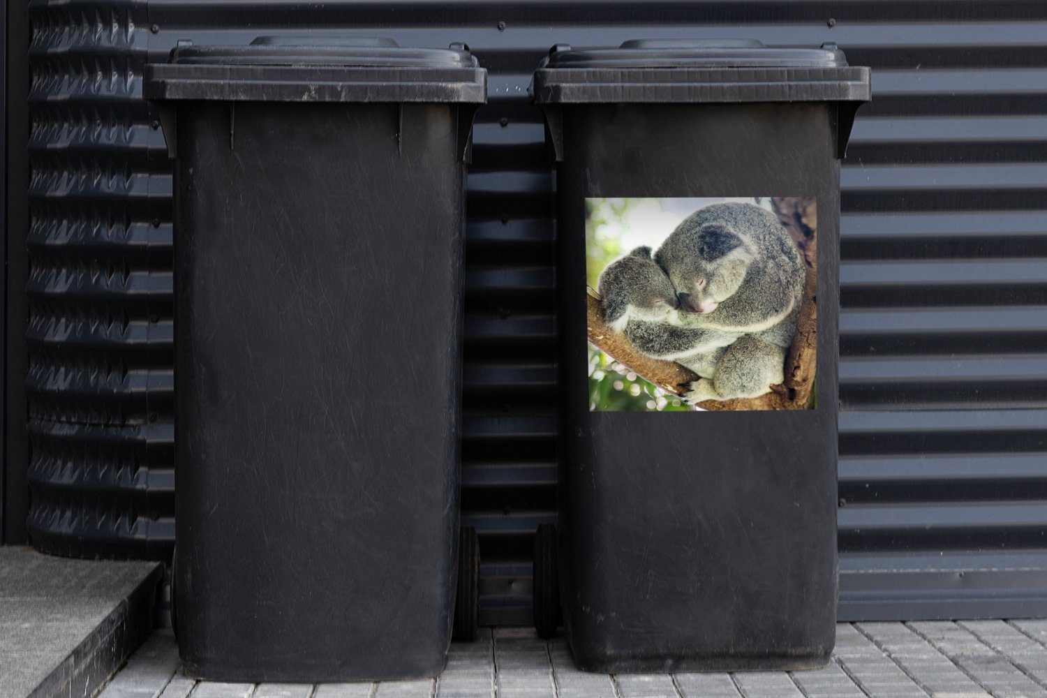 MuchoWow Wandsticker Koalas Jungen Container, Sticker, (1 - Mädchen - Knuddeln St), Abfalbehälter - Mülleimer-aufkleber, Tiere Mülltonne, 