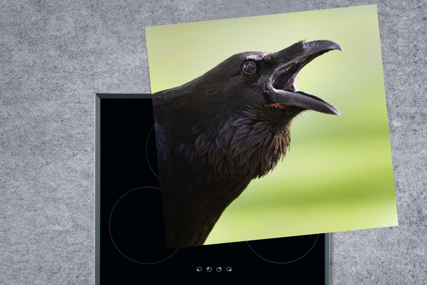Ceranfeldabdeckung, Schwarz küche Vinyl, (1 78x78 - cm, Arbeitsplatte Herdblende-/Abdeckplatte für Vogel, MuchoWow Krähe tlg), -