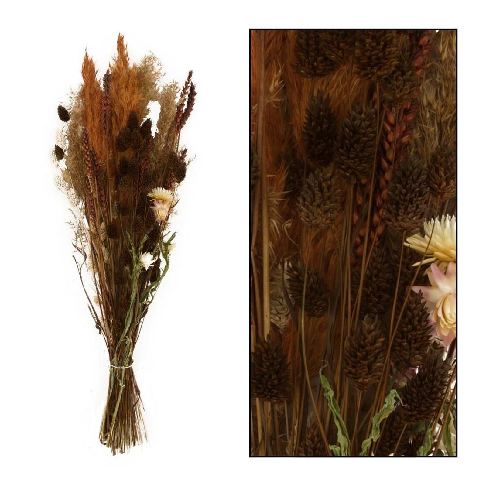Getrockneter braun flower Trockenblume - DIJK bouquet, Blumenstrauß dried