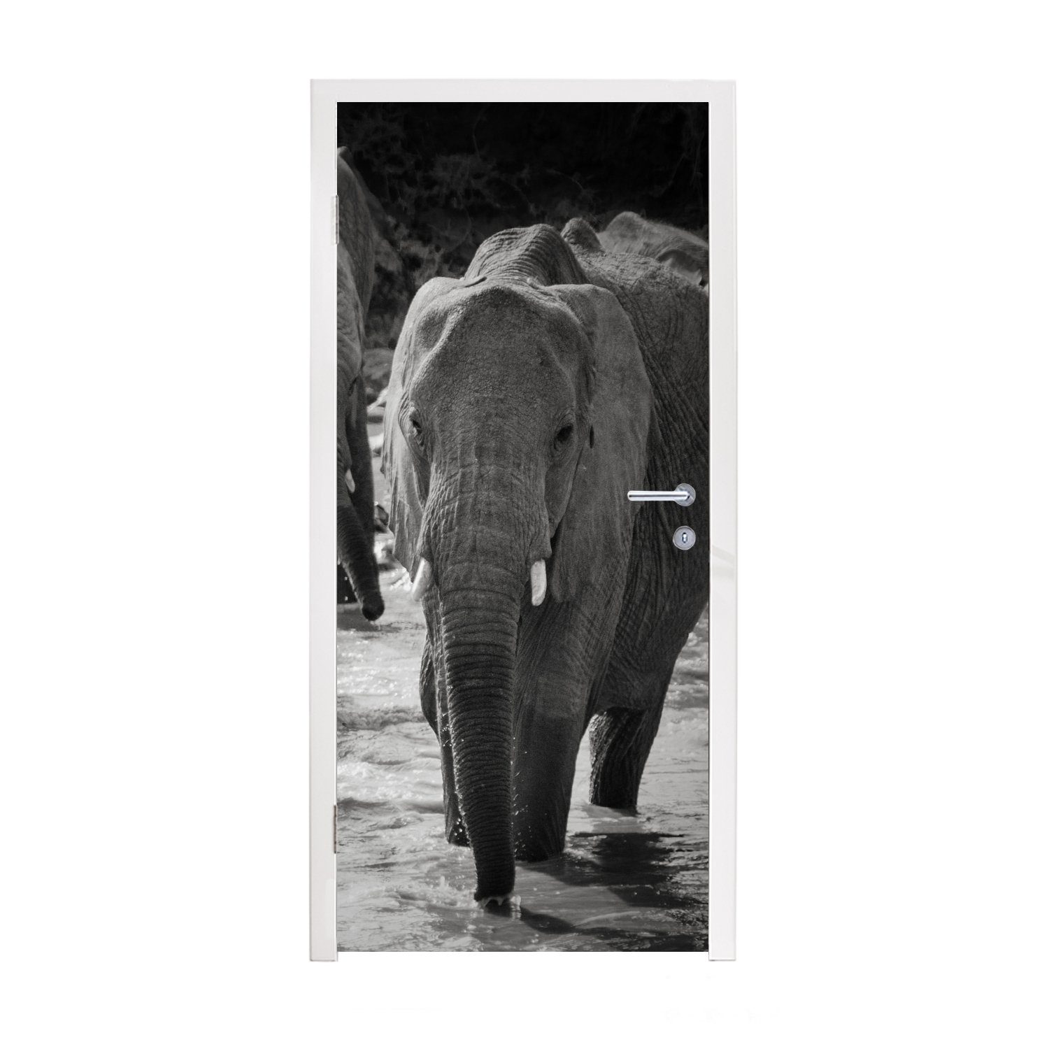 MuchoWow Türtapete Elefant - Tiere - Wasser - Schwarz und weiß, Matt, bedruckt, (1 St), Fototapete für Tür, Türaufkleber, 75x205 cm