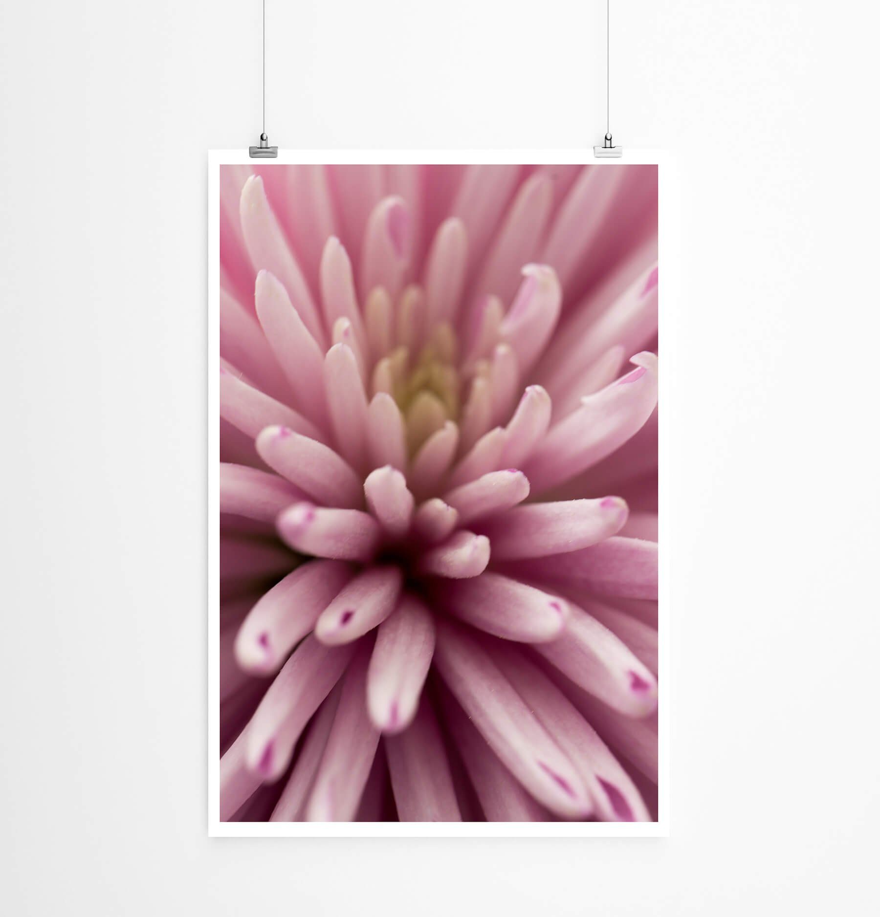 Sinus Art Poster Naturfotografie  Altrosa Blütenblätter 60x90cm Poster