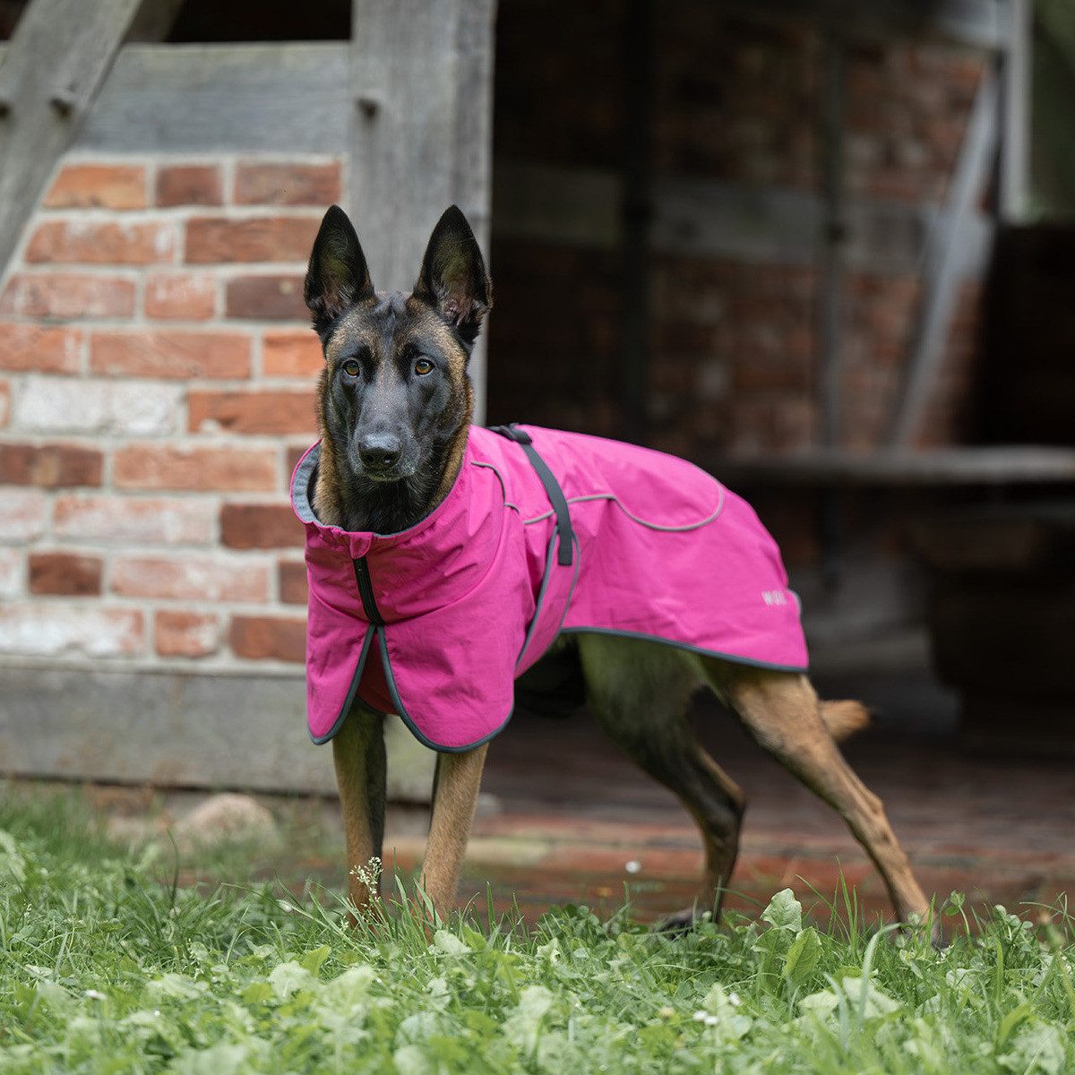 Wolters Hunderegenmantel Cape Drizzle magenta