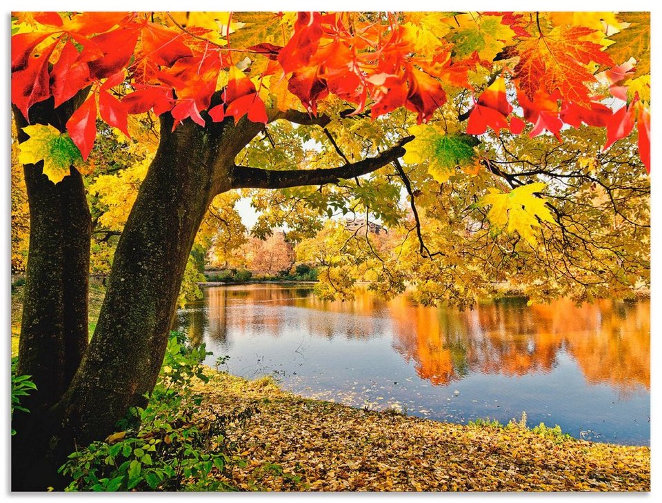 Artland Wandbild Herbsttag an einem ruhigen See, Gewässer (1 St), als  Alubild, Leinwandbild, Wandaufkleber oder Poster in versch. Größen