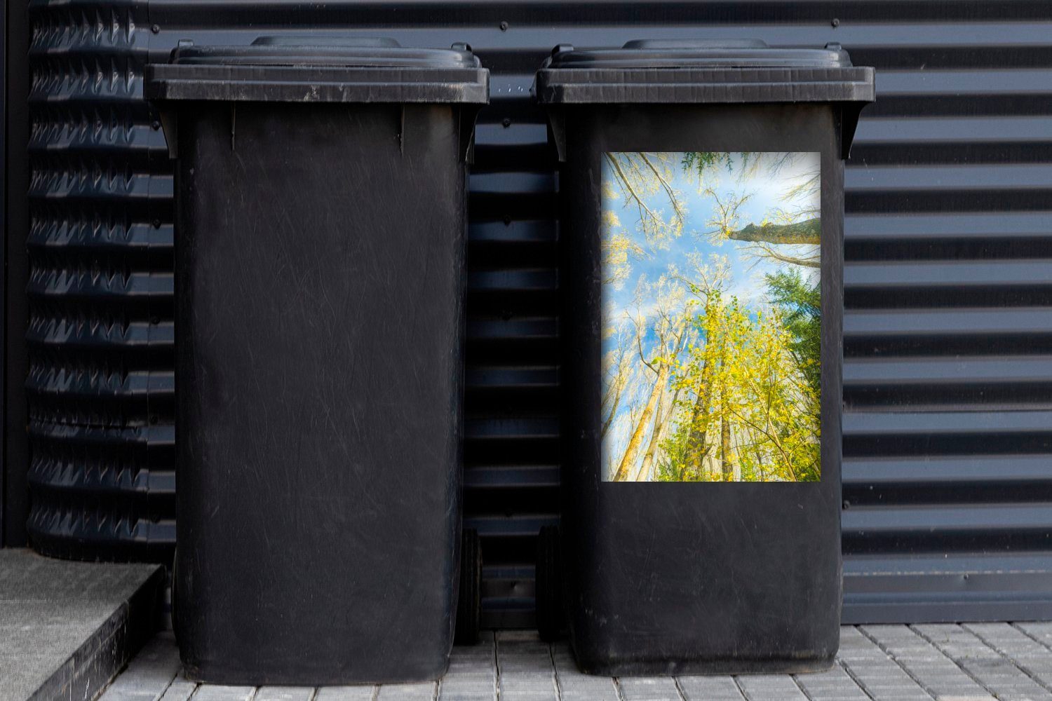 Mülltonne, Bäume Guadarrama Spanien Mülleimer-aufkleber, MuchoWow de (1 Container, Sticker, Abfalbehälter Wandsticker in Sierra St), im Nationalpark Riesige