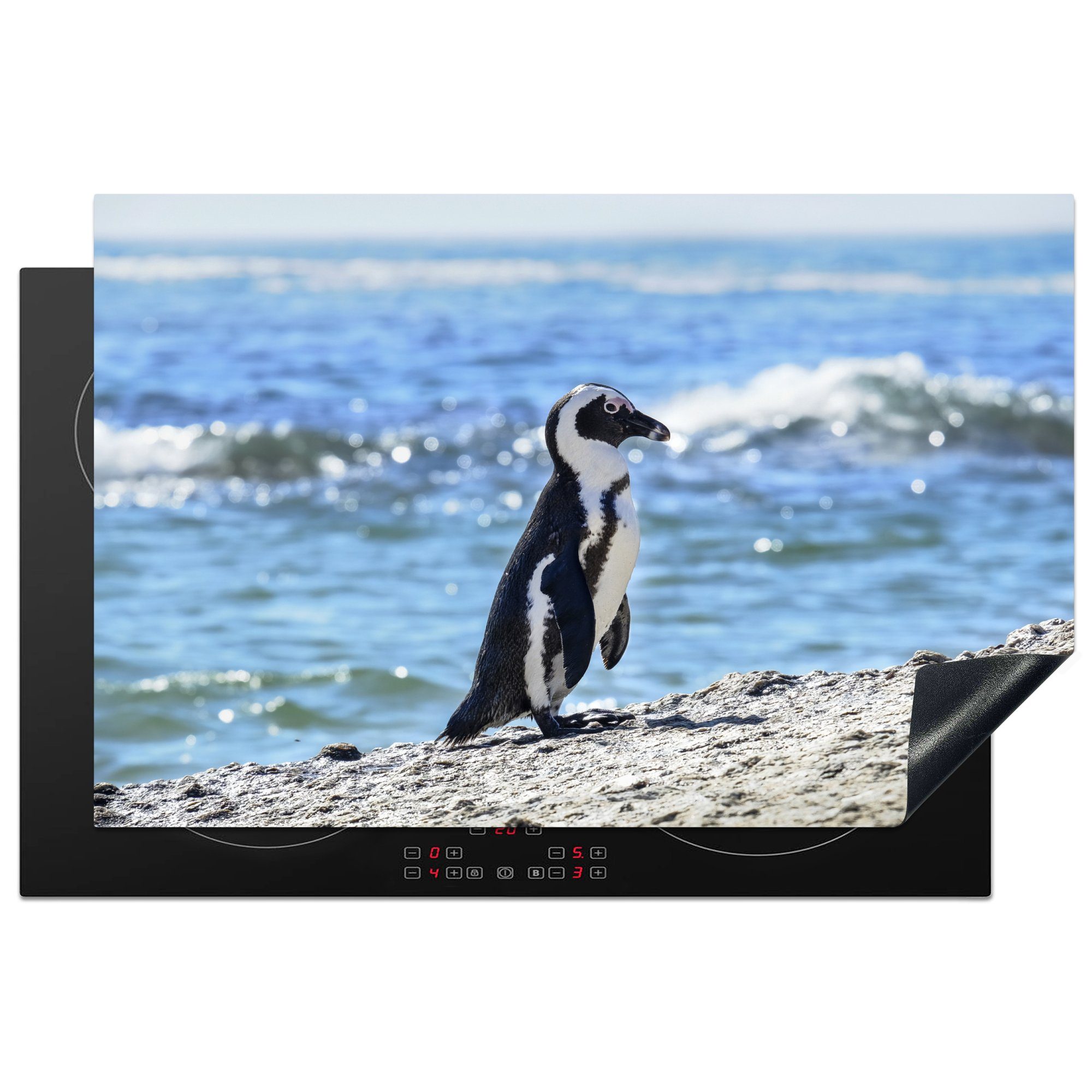MuchoWow Herdblende-/Abdeckplatte Pinguin am Strand von Boulders Beach, Vinyl, (1 tlg), 81x52 cm, Induktionskochfeld Schutz für die küche, Ceranfeldabdeckung
