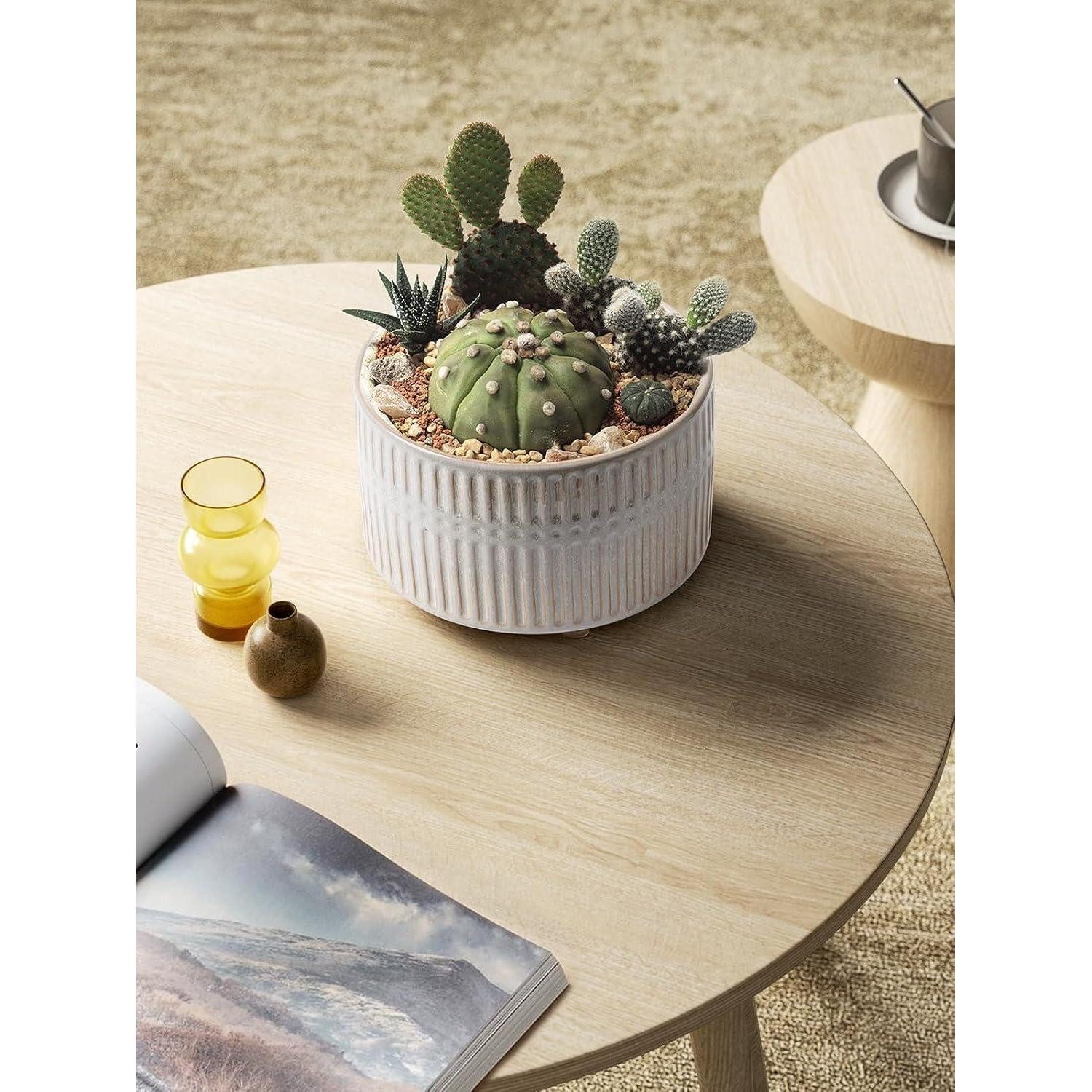 LuxusKollektion Blumentopf Sukkulententopf Keramik Entwässerungslöcher 20cm 2er Set Stern Weiß