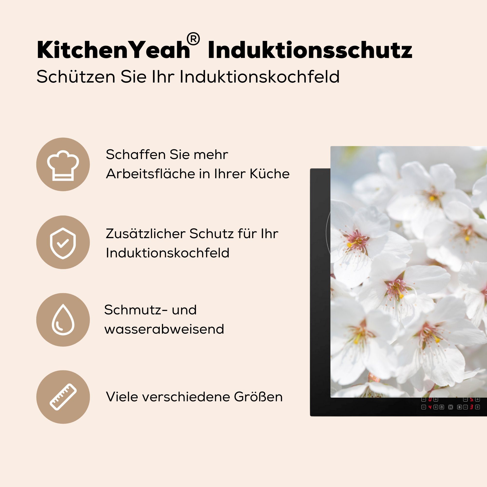 Vinyl, Schutz Kirschblüte, für küche, (1 cm, Tagpfauenauge MuchoWow auf Herdblende-/Abdeckplatte die Induktionskochfeld Schmetterling Ceranfeldabdeckung tlg), 81x52