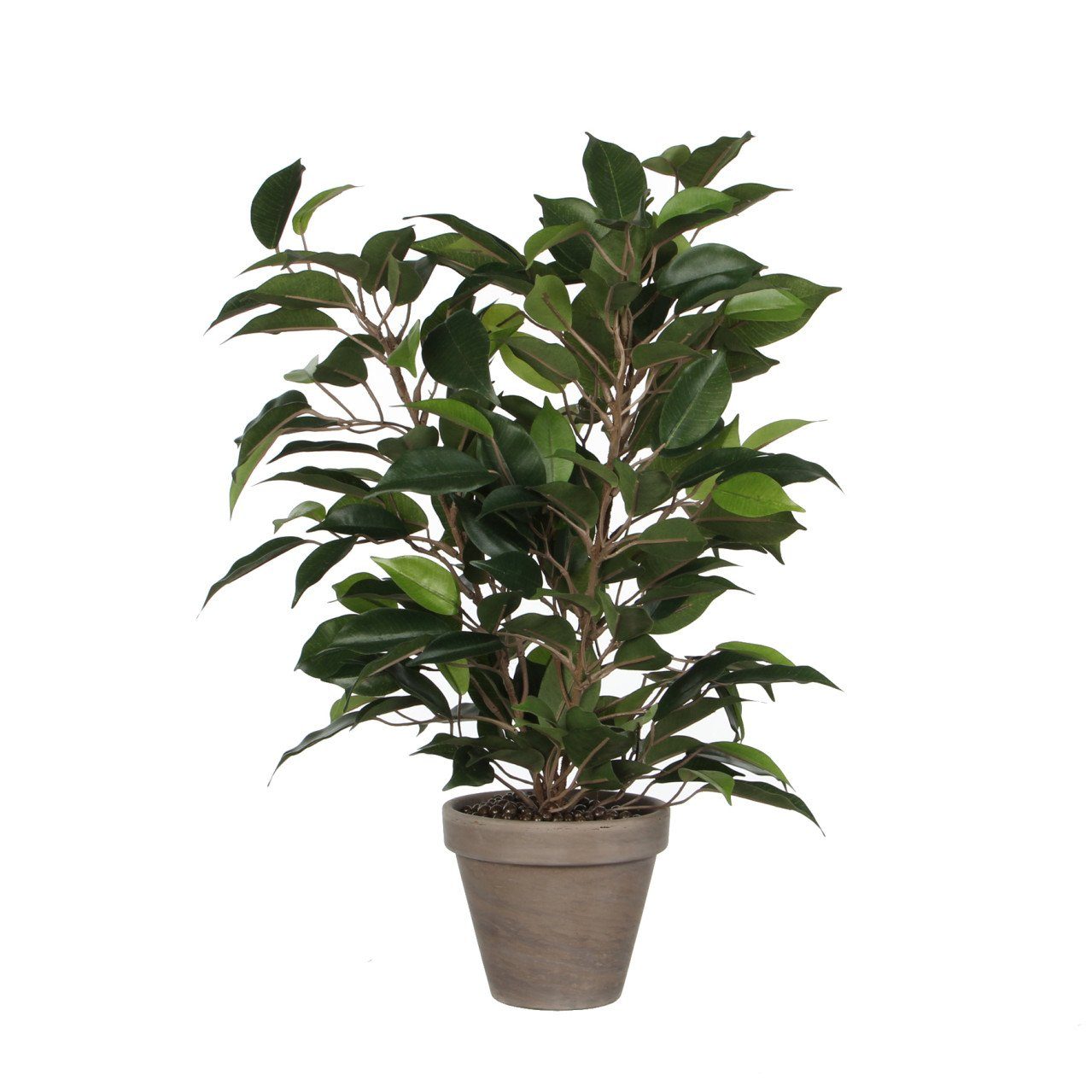 Kunstpflanze Mica Kunstpflanze Ficus Natasja grün im Topf 40 x