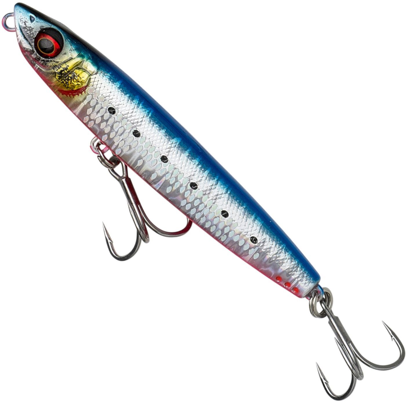 Pink Belly Sardine