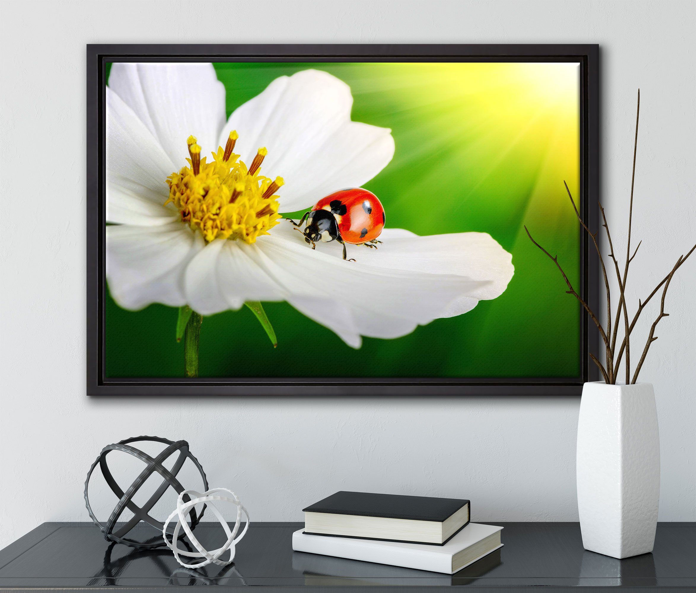Leinwandbild einer St), Blume, gefasst, inkl. weißen Wanddekoration Marienkäfer in auf fertig Pixxprint Zackenaufhänger bespannt, einem (1 Leinwandbild Schattenfugen-Bilderrahmen