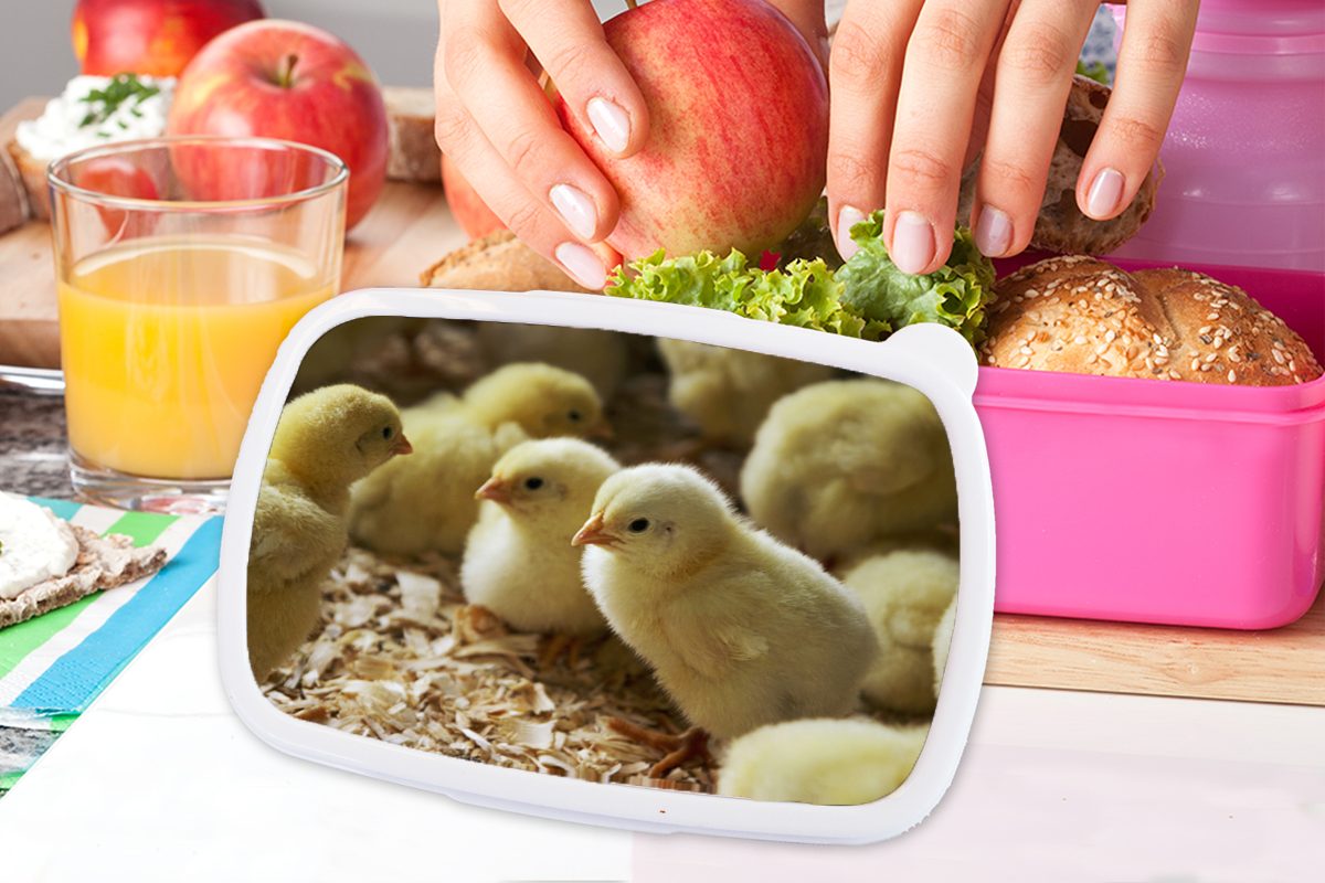 Lunchbox Kunststoff, (2-tlg), Sägemehl, Kinder, Mädchen, rosa Babyküken Brotdose im Erwachsene, Brotbox Kunststoff MuchoWow für Snackbox,