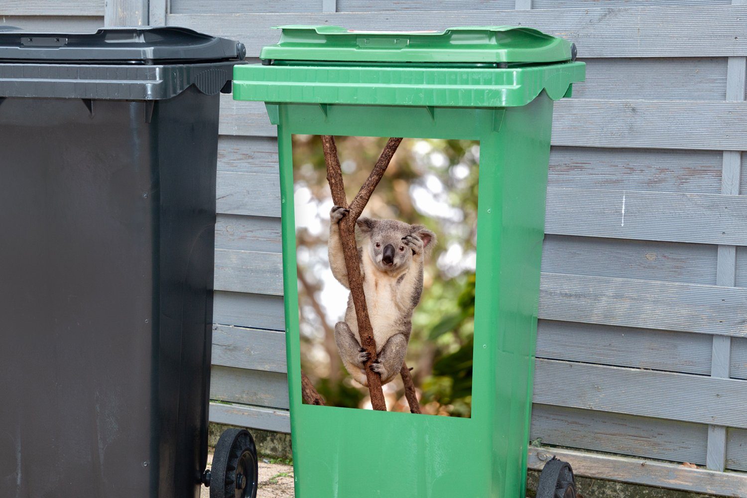 (1 Abfalbehälter - Koala Sticker, Mülleimer-aufkleber, - Mädchen Container, - Jungen - Mülltonne, Wandsticker - MuchoWow St), Äste Tier Kinder