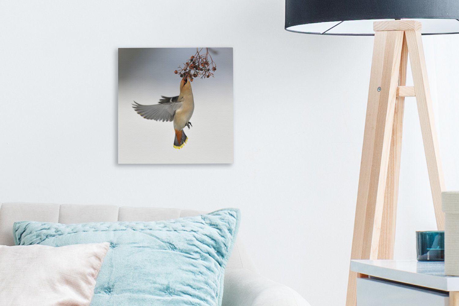 OneMillionCanvasses® Leinwandbild Fliegender St), Pestvogel Bilder Leinwand für (1 frisst Schlafzimmer Wohnzimmer Beeren