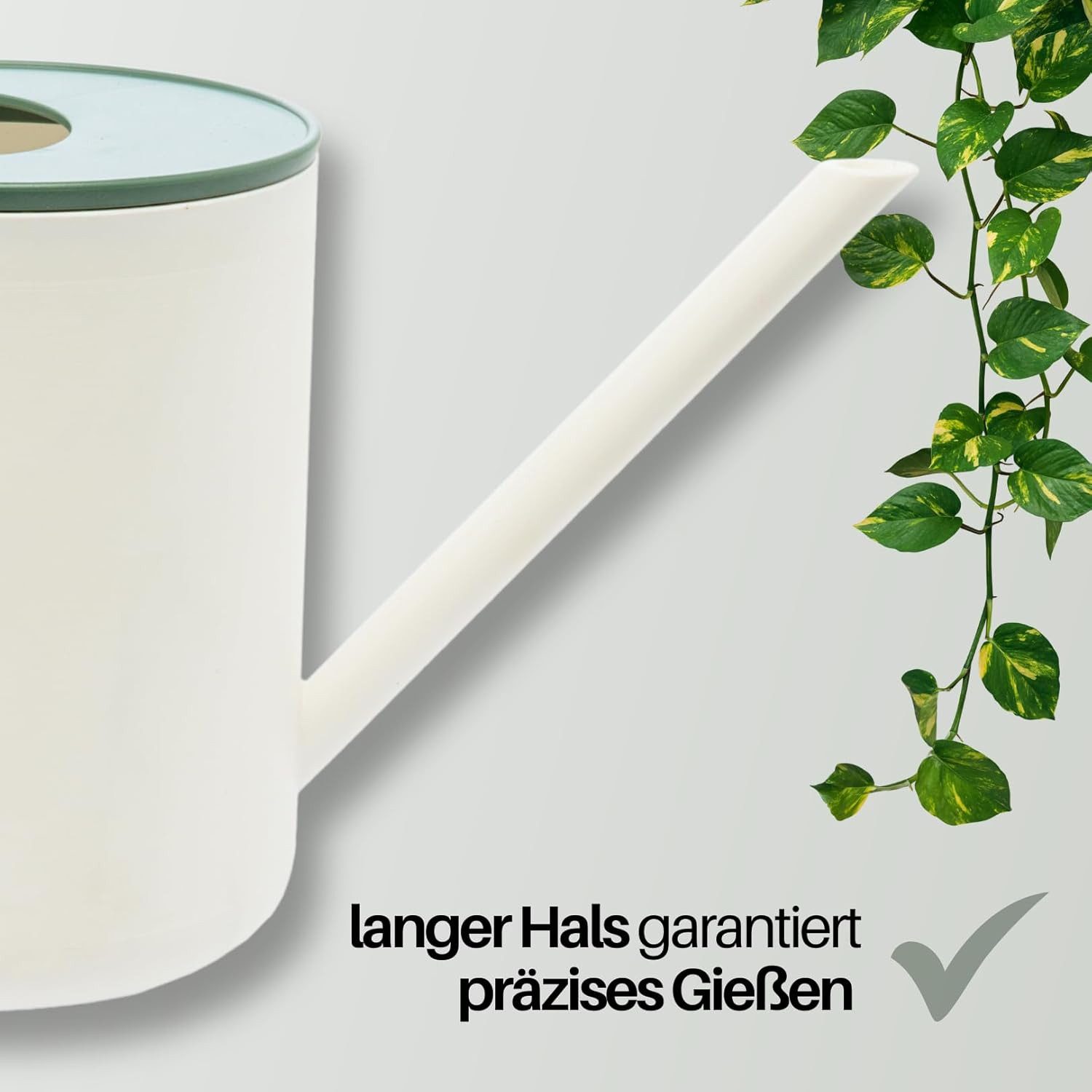 homiez Gießkanne MUG 0,9 ltr. oder 1,5 ltr. in verschiedenen Farben