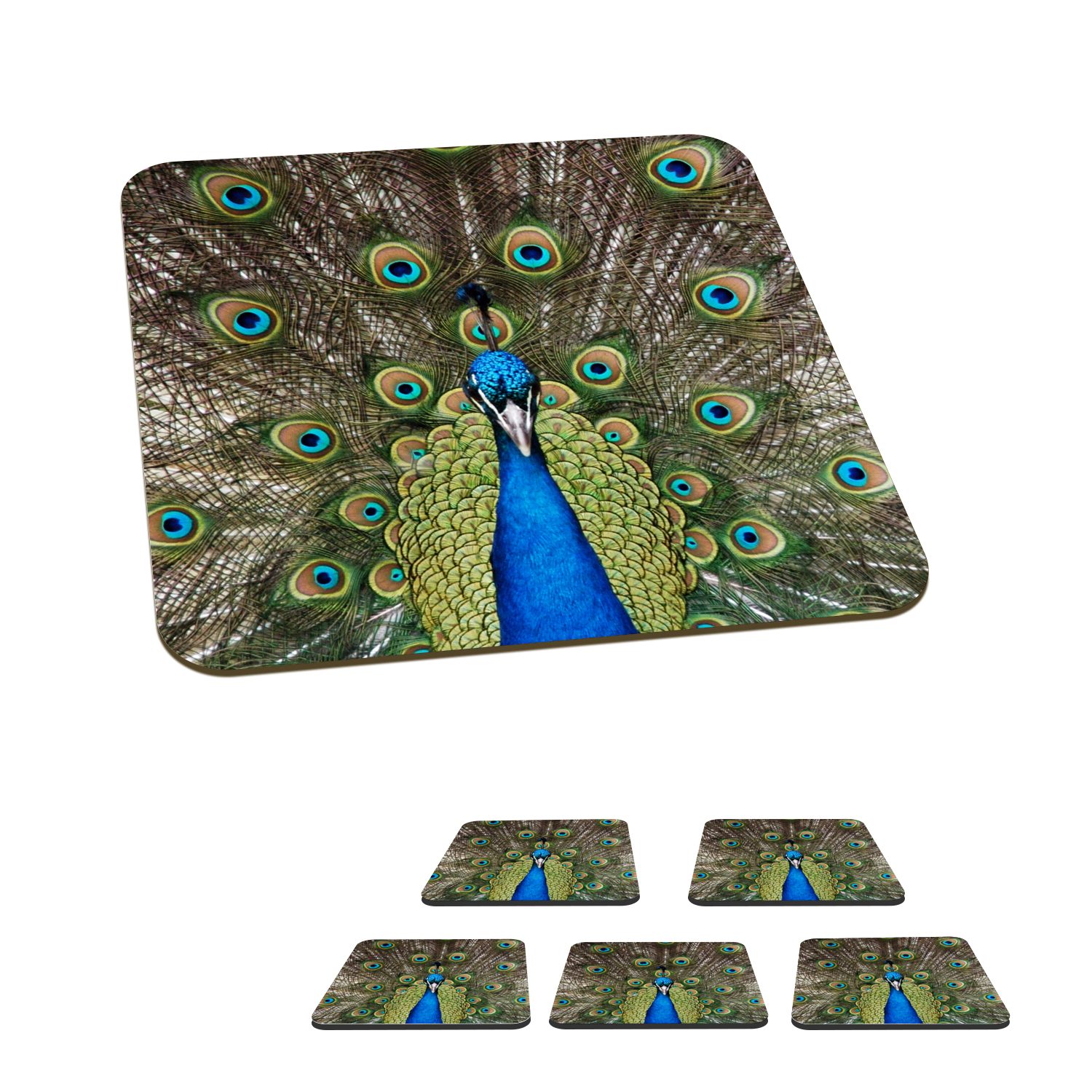 MuchoWow Glasuntersetzer Pfau - Farben - Federn, Zubehör für Gläser, 6-tlg., Glasuntersetzer, Tischuntersetzer, Korkuntersetzer, Untersetzer, Tasse